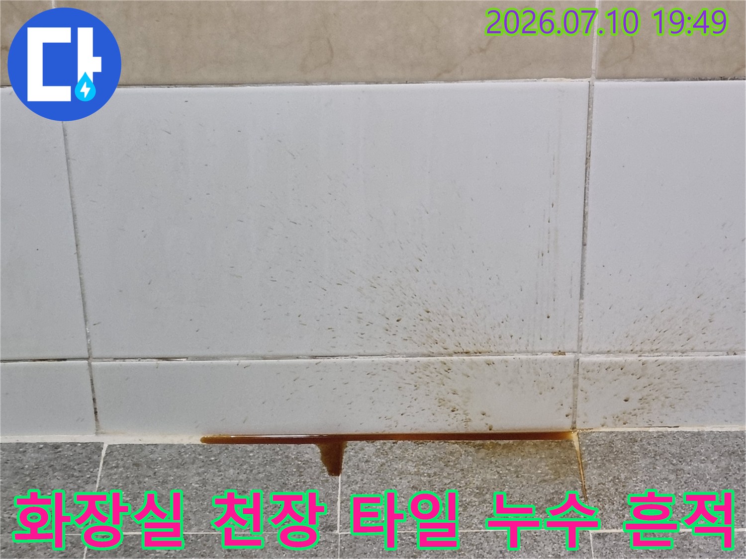 갈색으로 변색된 화장실 천장 타일과 물이 고여 흘러내린 자국