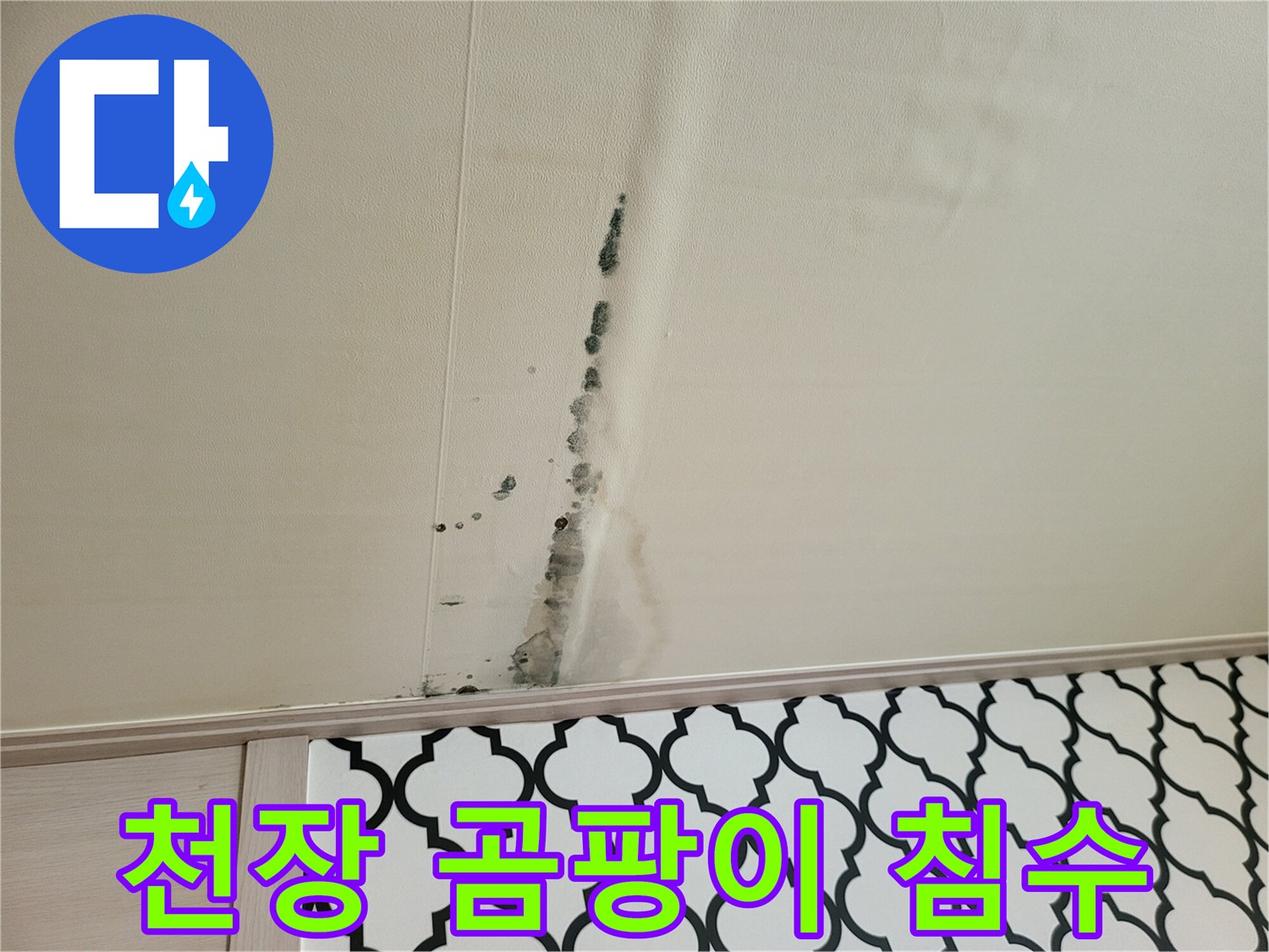 검게 변한 천장 벽지의 곰팡이와 습기 머금은 얼룩