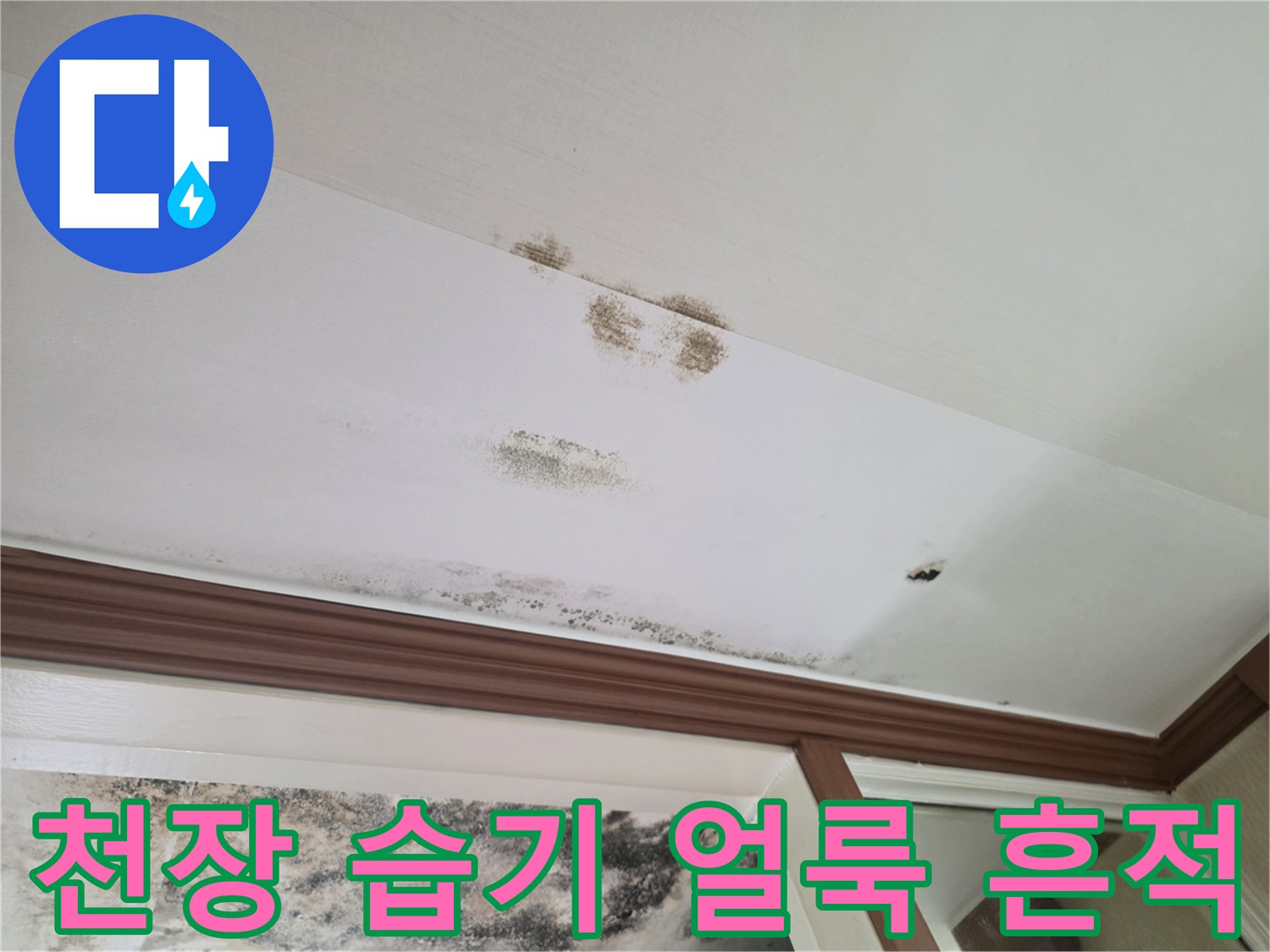 누수로 인해 발생한 천장 마감재의 곰팡이와 얼룩