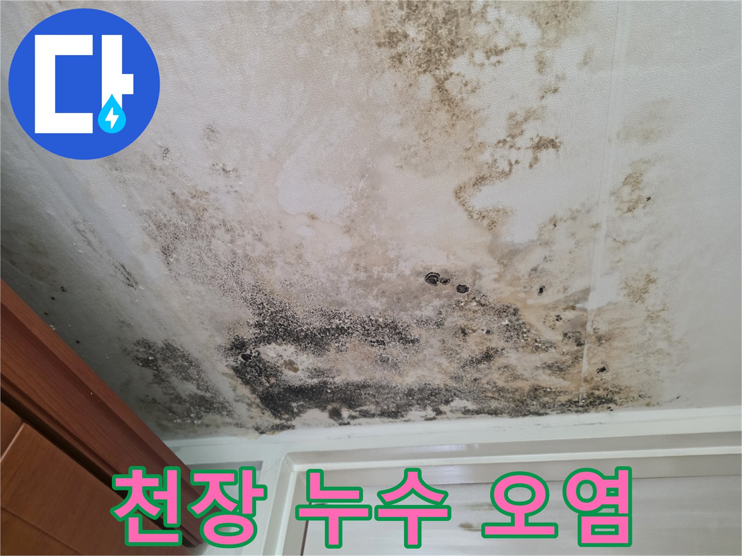 현관 천장 벽면-누수로 인한 심각한 곰팡이와 얼룩