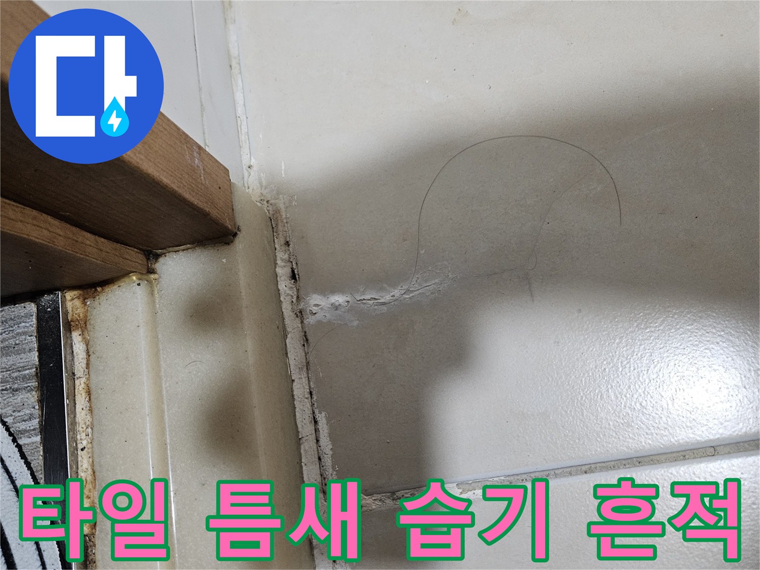 타일 줄눈 사이로 물기가 스며든 상태의 근접 촬영