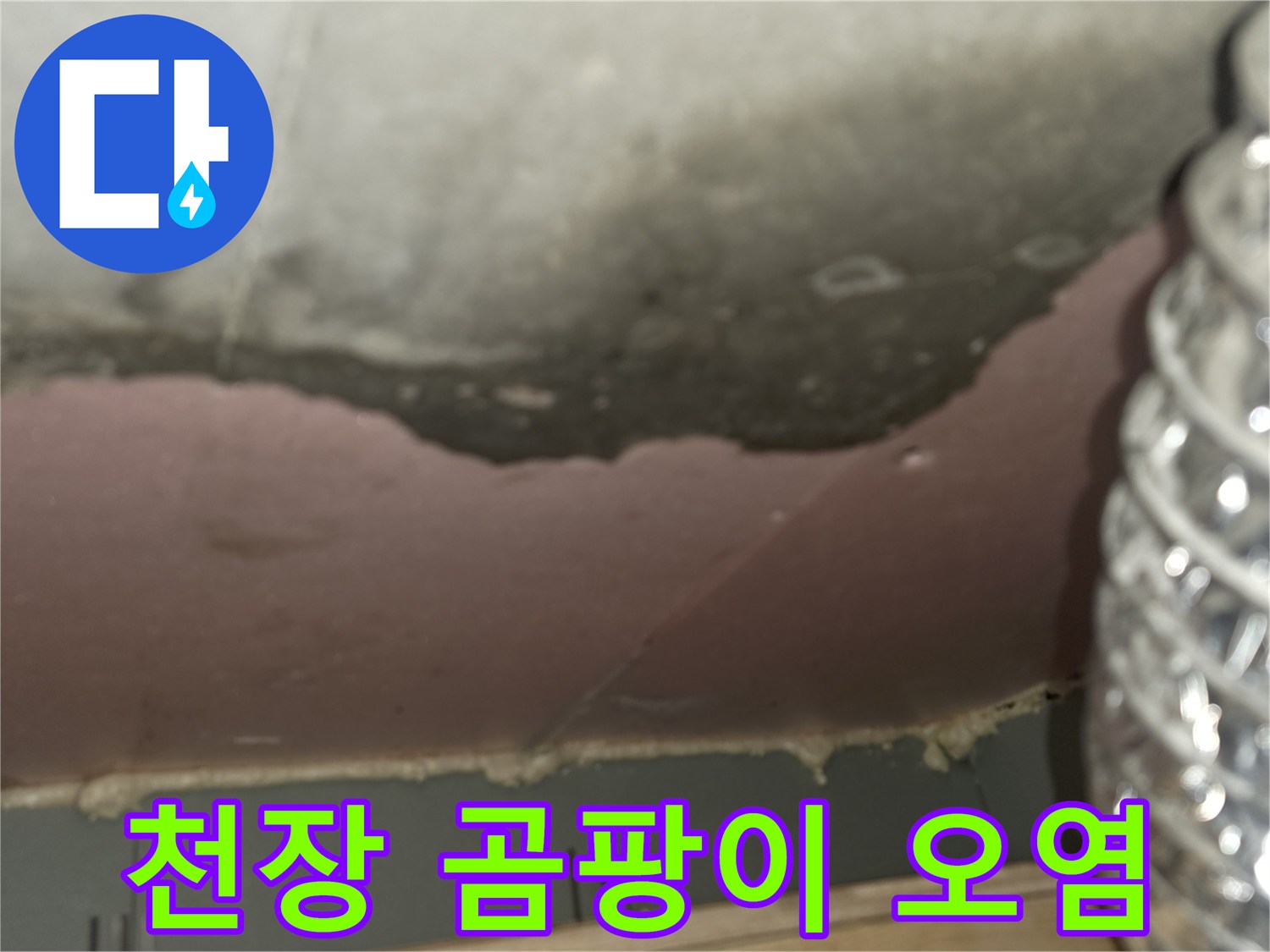 천장-슬라브-층의-누수-및-곰팡이-오염-상태