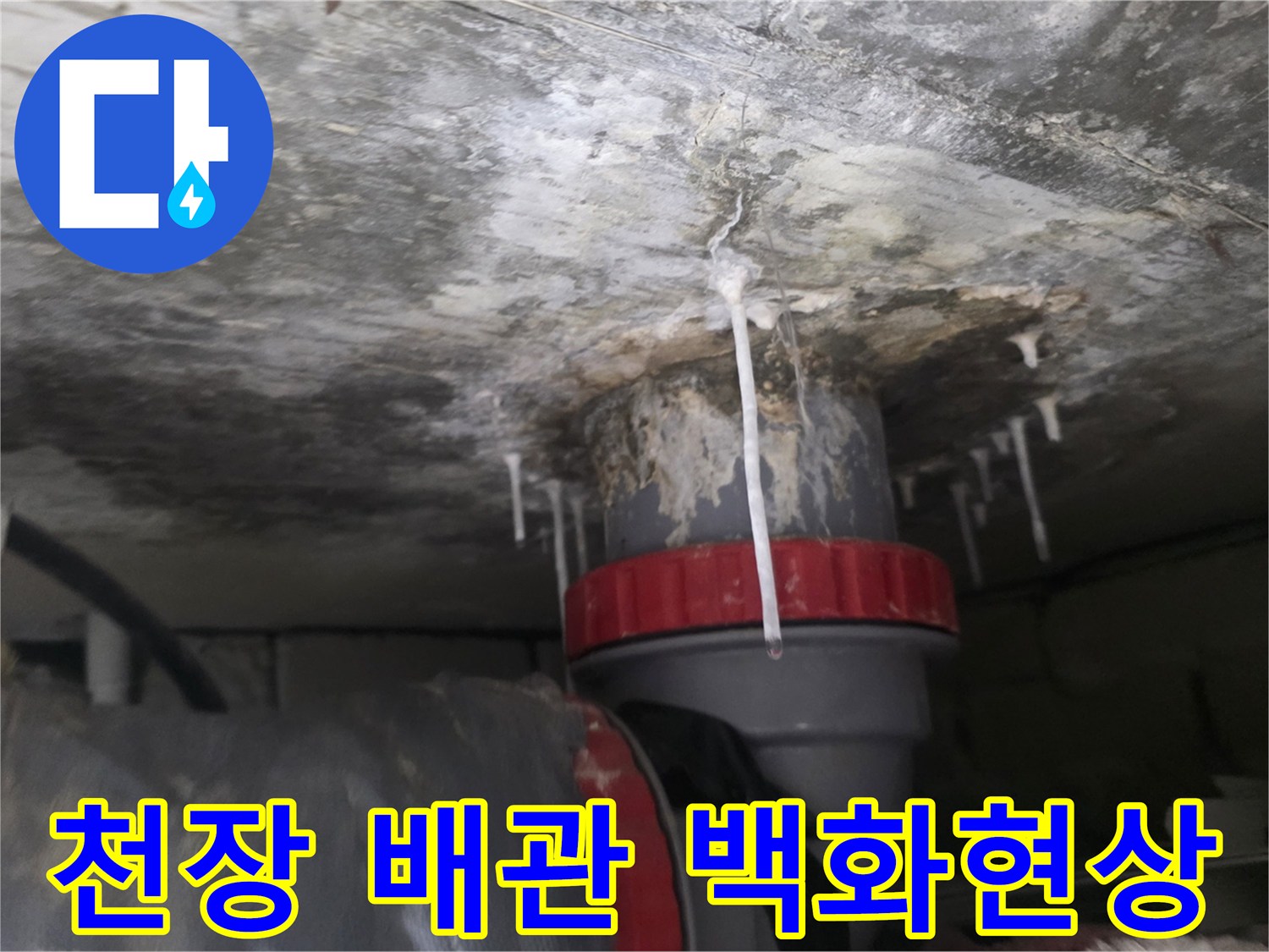 배수관-틈새로-흘러내린-석회물-흔적과-오염된-천장