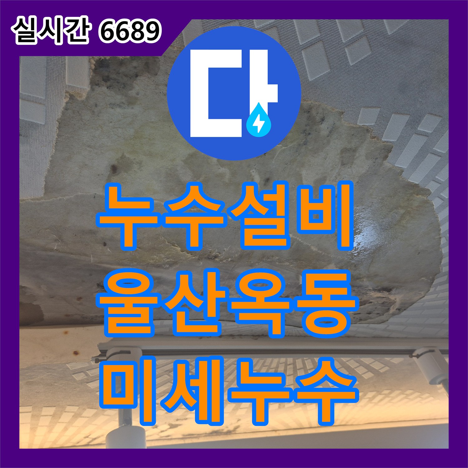 누수설비 타 업체가 찾지 못한 미세한 누수 지점을 끝내 찾아낸 울산광역시 남구 옥동 현장