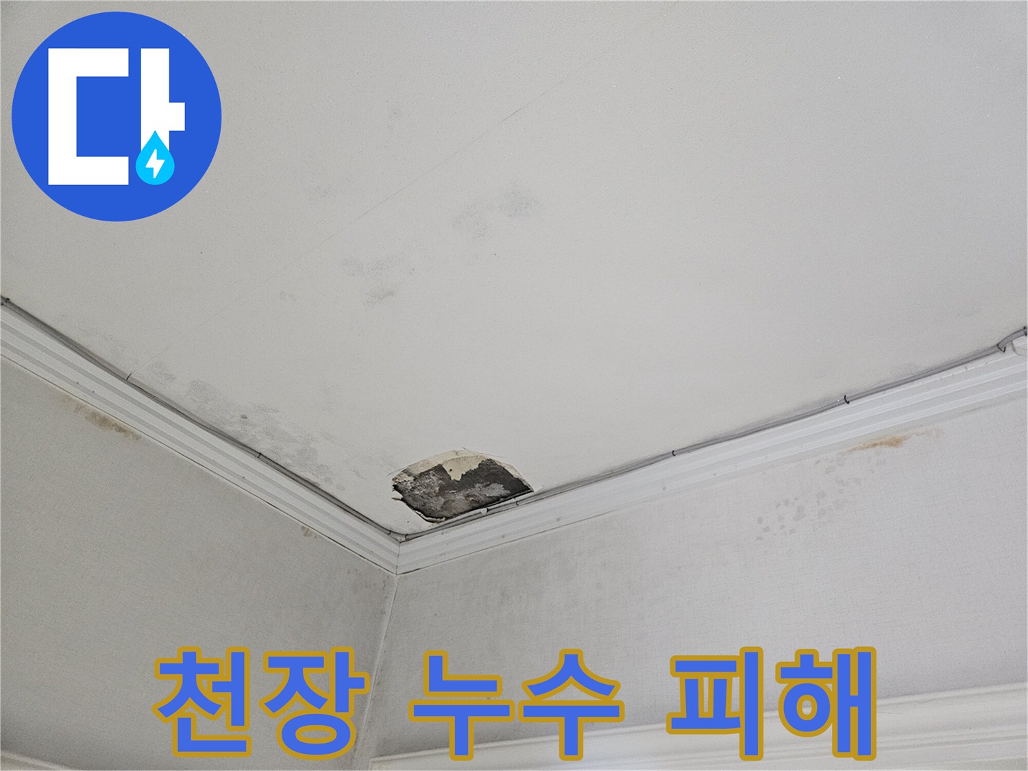 아파트 천장-물에 젖어 부풀어 오른 석고보드