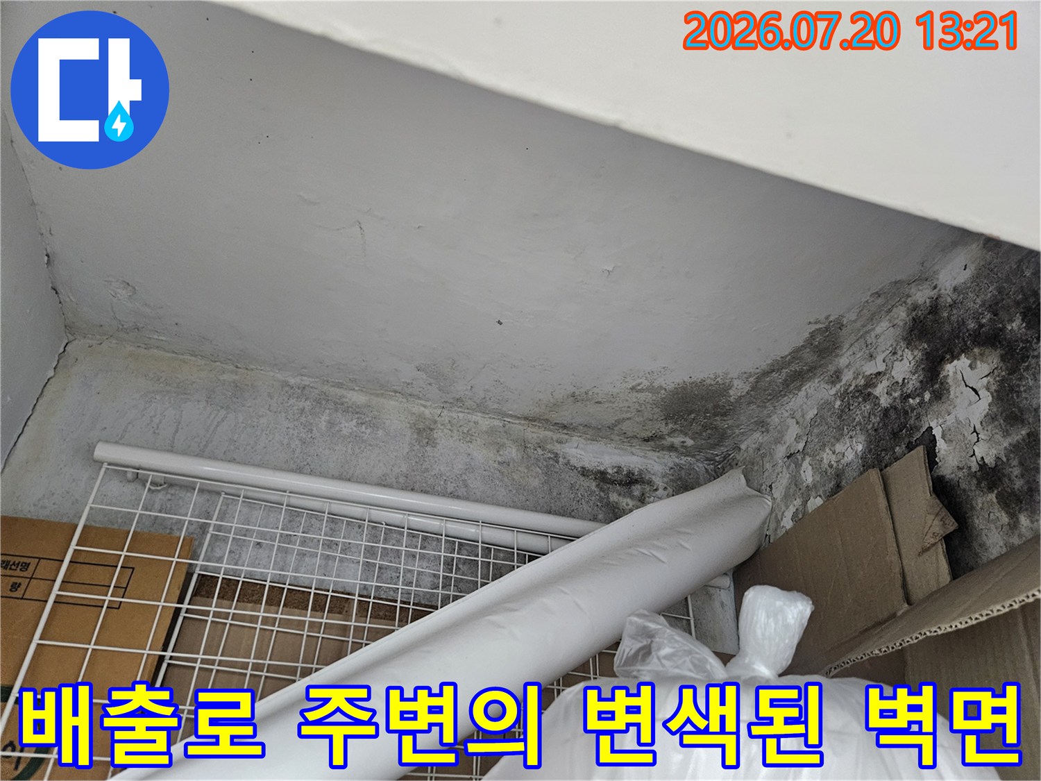 장기간 누수로 인해 발생한 천장 및 벽면의 곰팡이 오염도