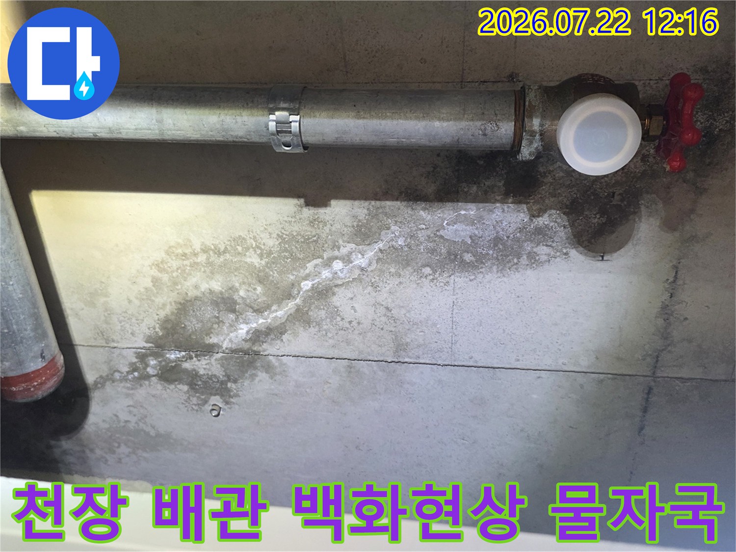 천장 콘크리트 면에 배관을 따라 하얗게 맺힌 백화 현상과 습한 물자국 사진