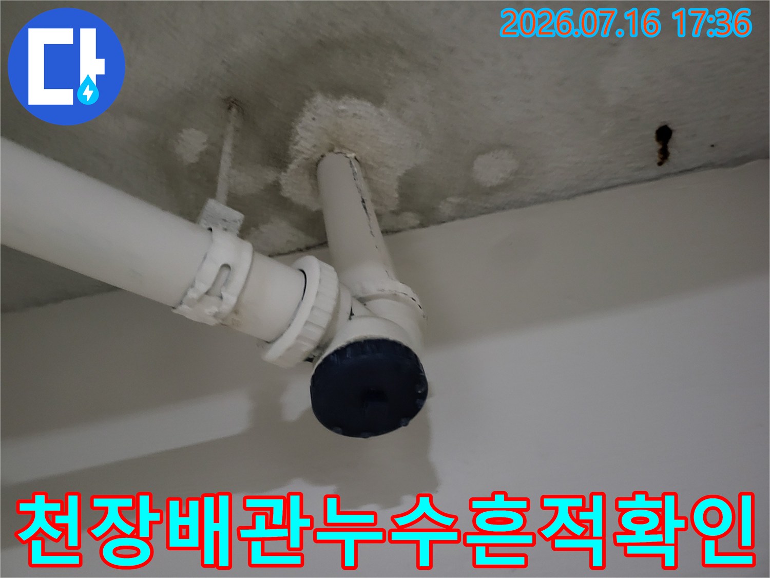 천장 배관 연결 부위의 물고임과 곰팡이 발생 현황