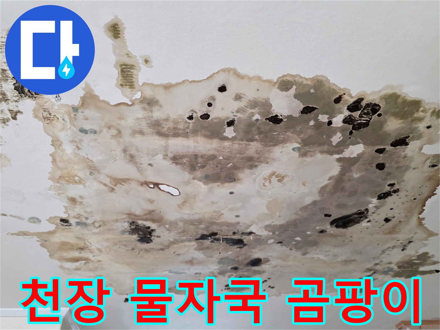 누수로-오염된-천장-마감재의-상세-모습