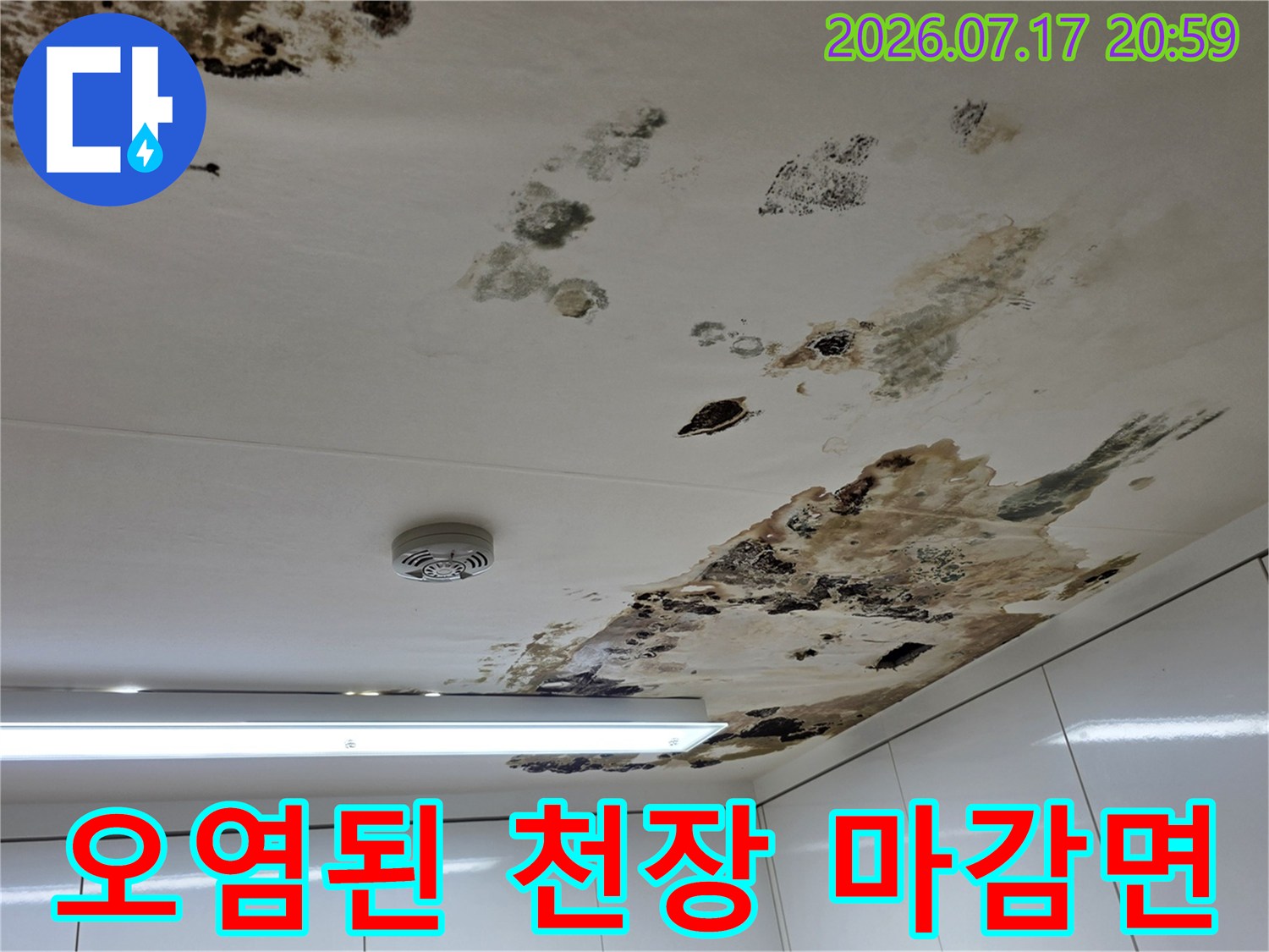 물샘으로인해얼룩진아파트천장의모습과곰팡이범위