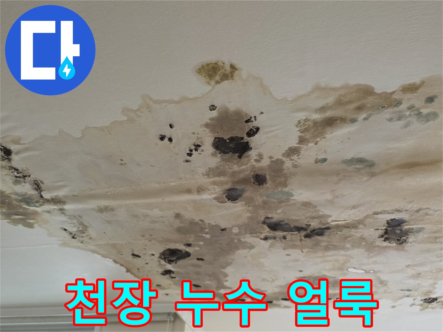 물에-젖어-변색된-아파트-천장-마감재-모습