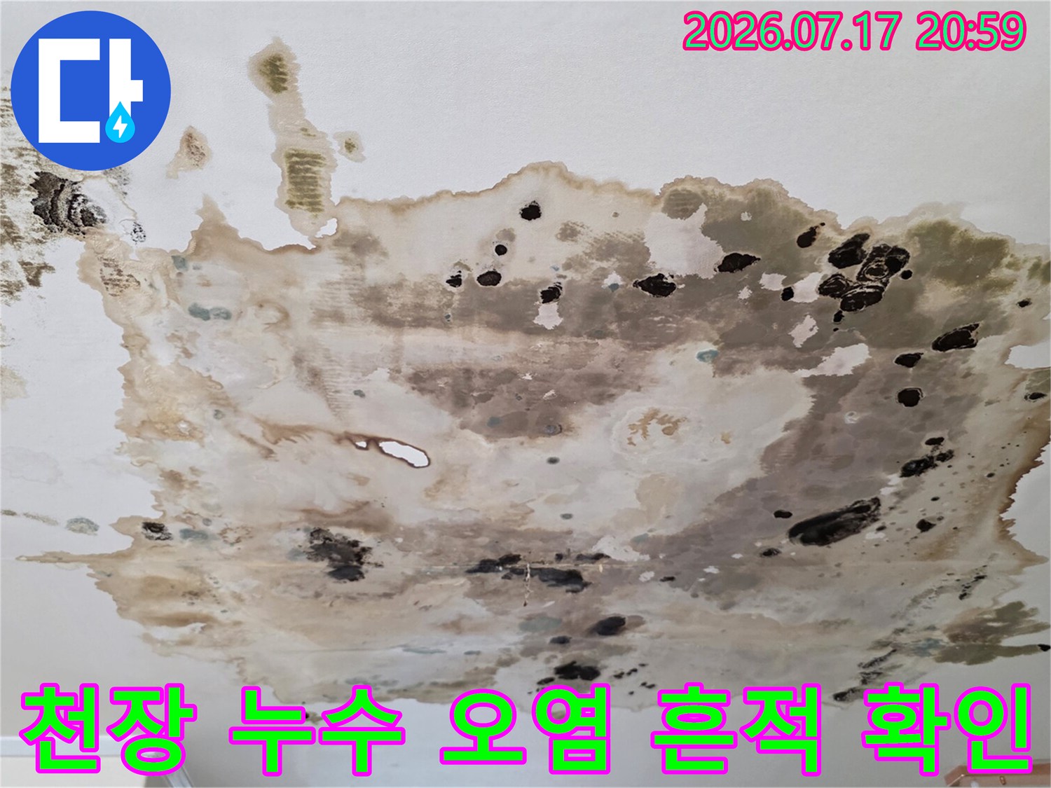 상부 배관의 문제로 인해 아래층 천장에 대규모 얼룩이 발생한 현장 사진
