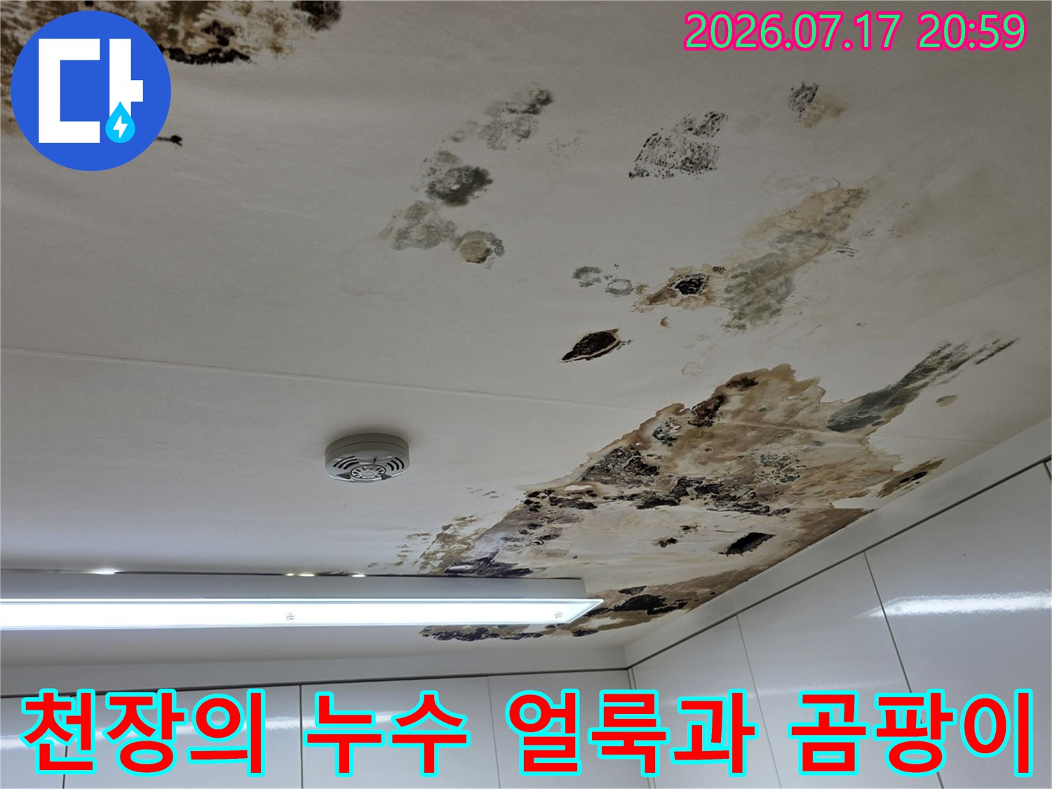 지속적으로흐르는물에의해어두운색으로변한천장표면
