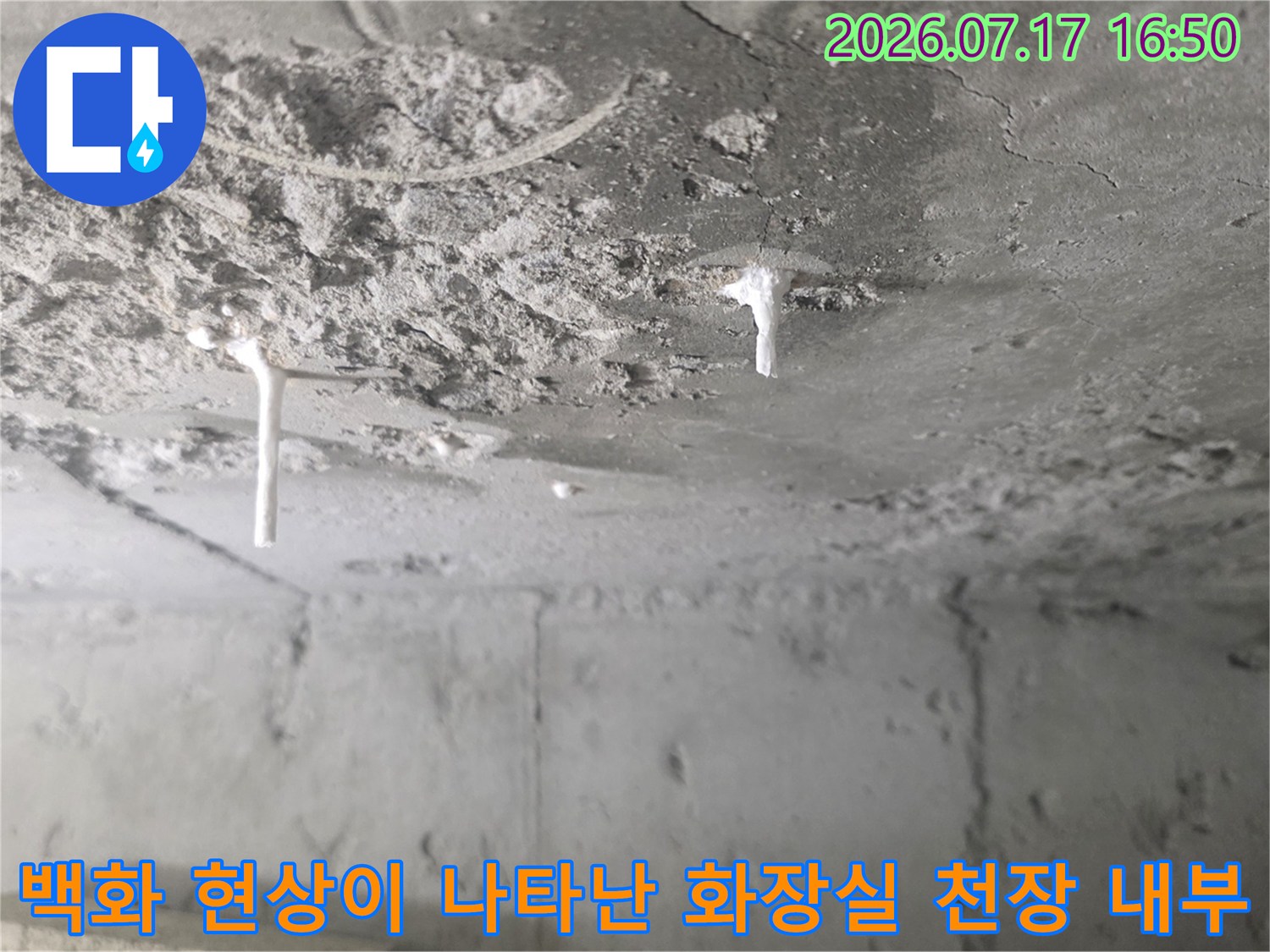 천장-콘크리트 표면에 하얀 석회질이 엉겨 붙은 백화 현상과 배관 모습