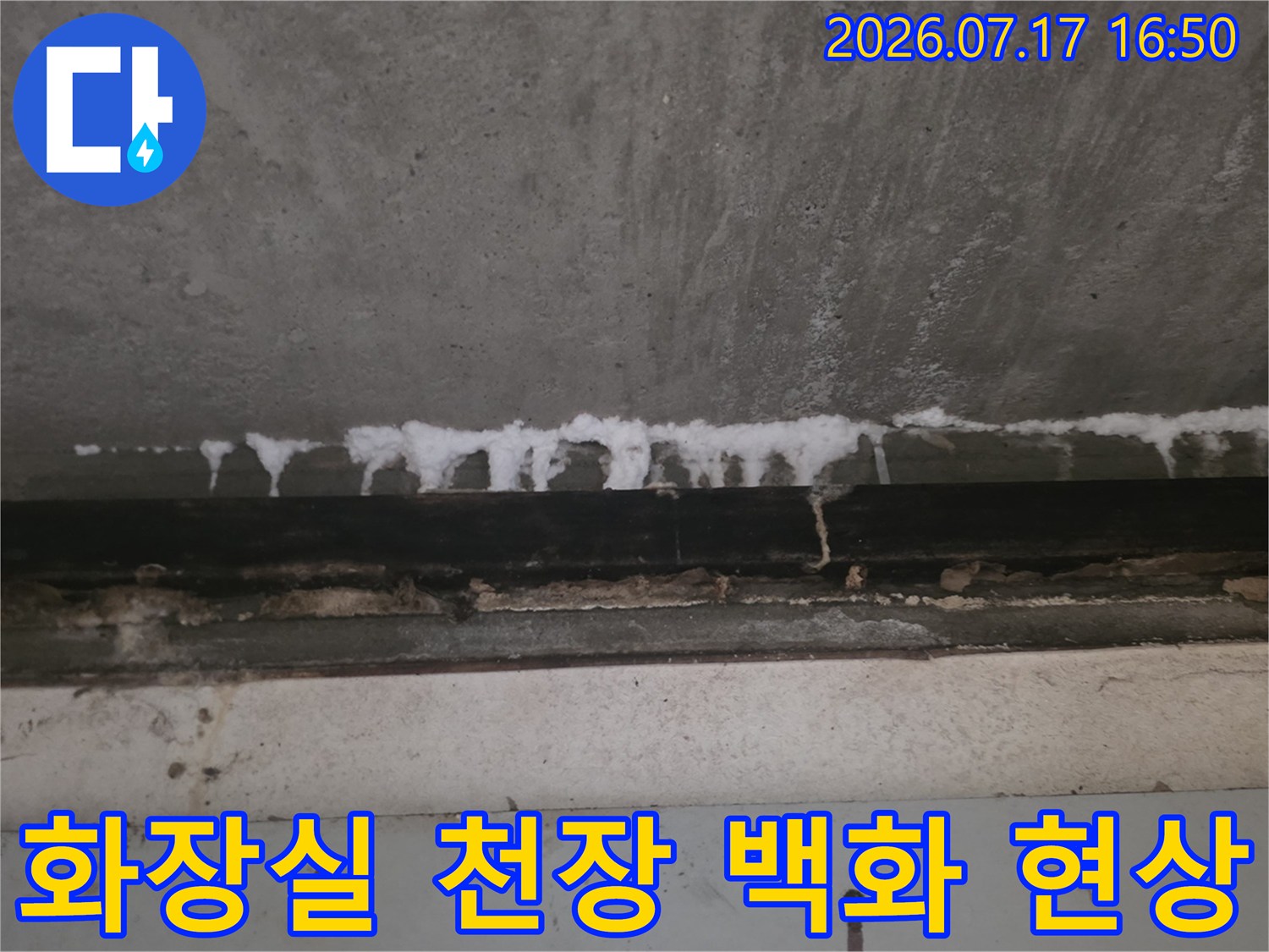 콘크리트 천장에서 하얗게 고드름처럼 맺혀 있는 백화 현상 사진
