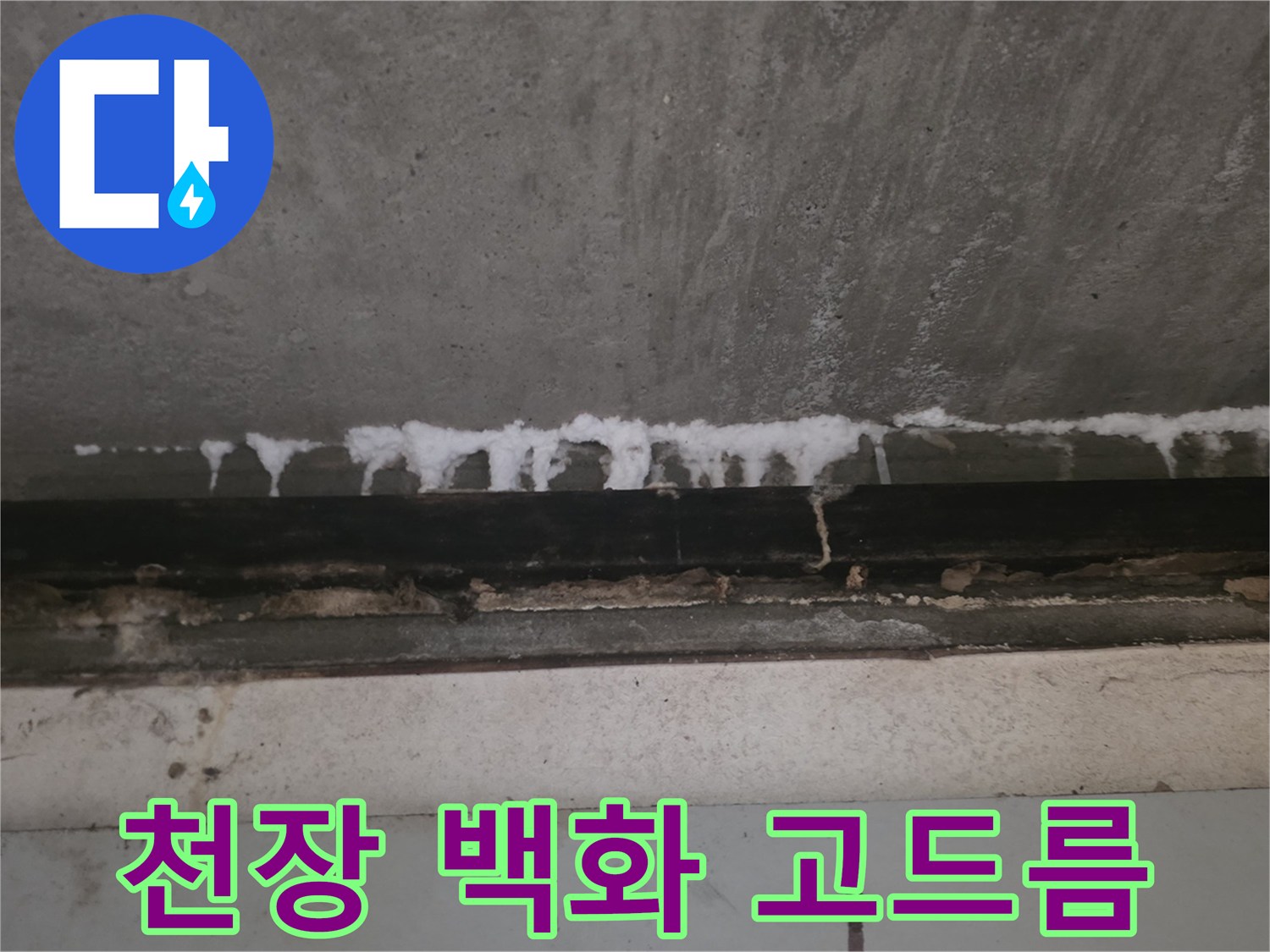 하얀색-석회물이-맺힌-천장-슬라브