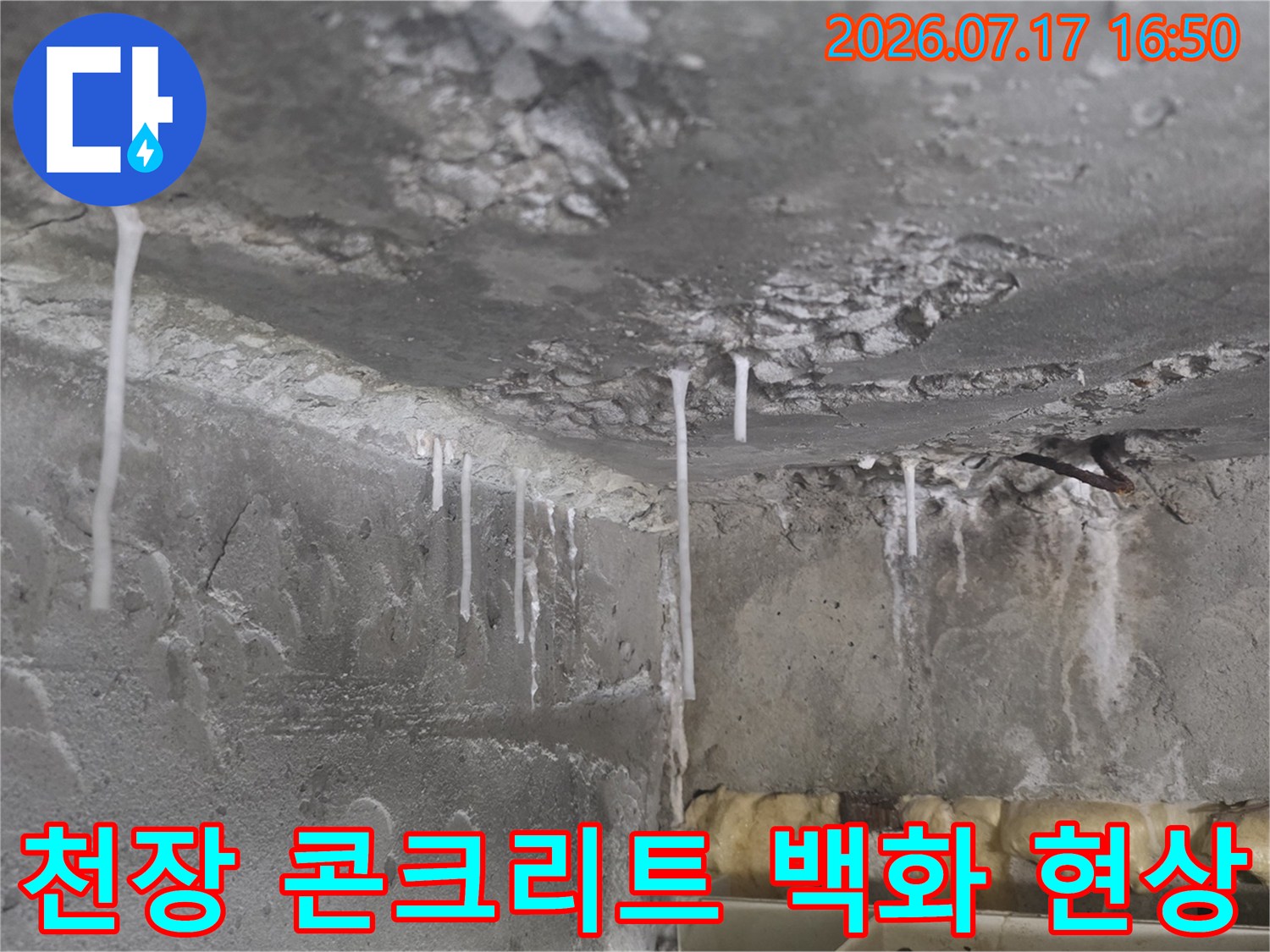 화장실 천장 콘크리트 슬래브에서 하얀 석회물이 고드름처럼 맺혀 내려오는 모습