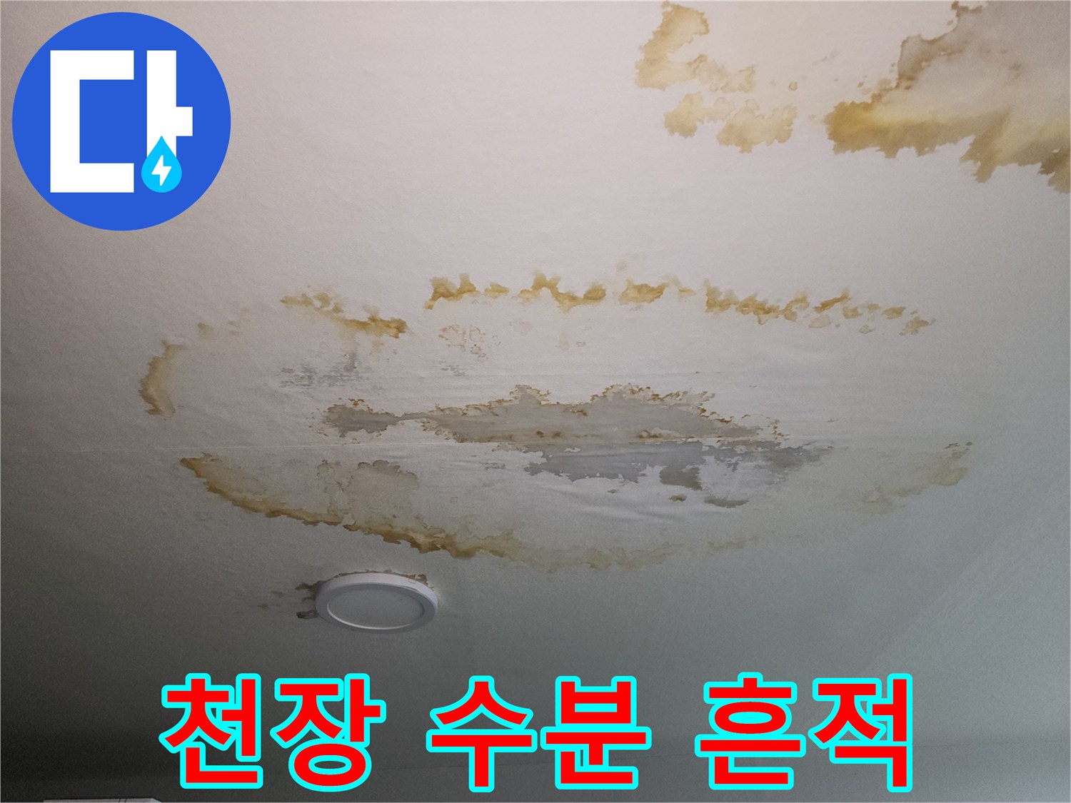 천장 마감재에 번진 누수 피해 부위 상세 모습