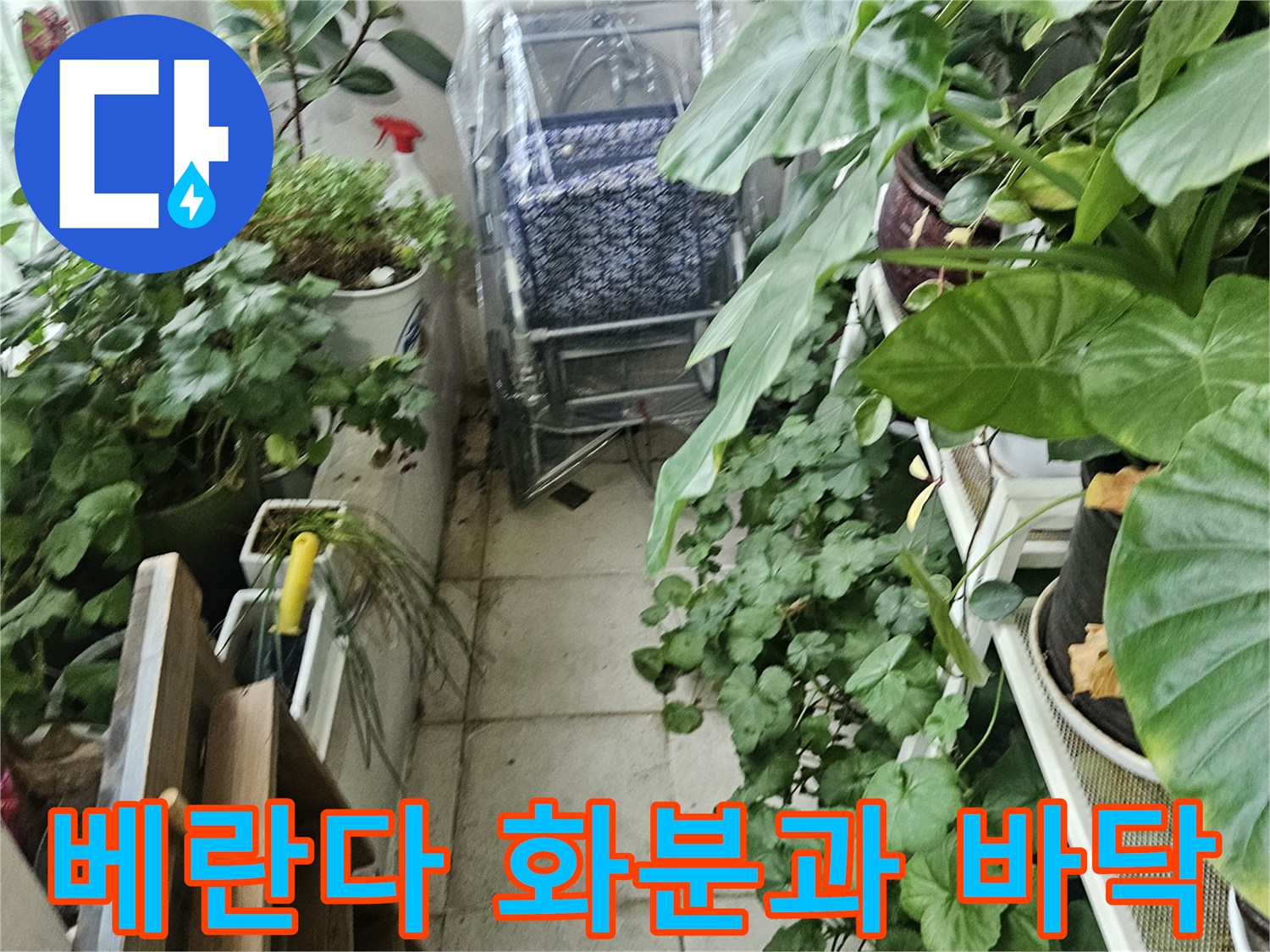 의정gsub_장암동_아파트_베란다_바닥_및_식물_상태