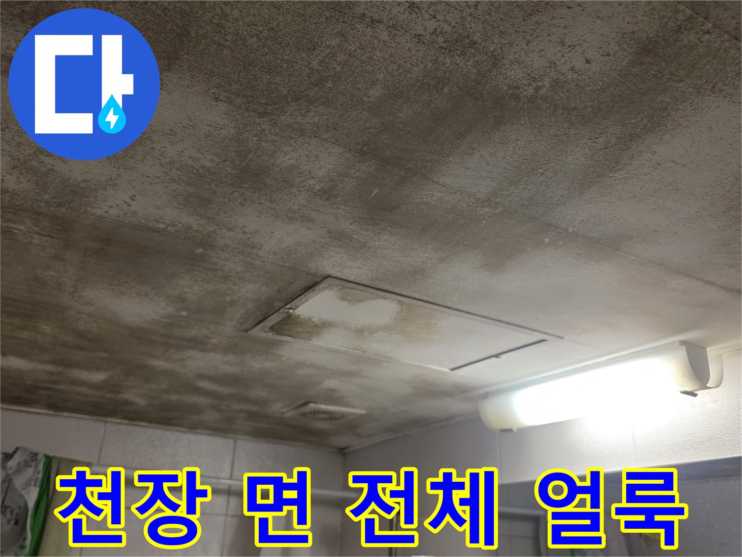 넓은 범위의-천장 마감재 수분 침투 및 변색 부위