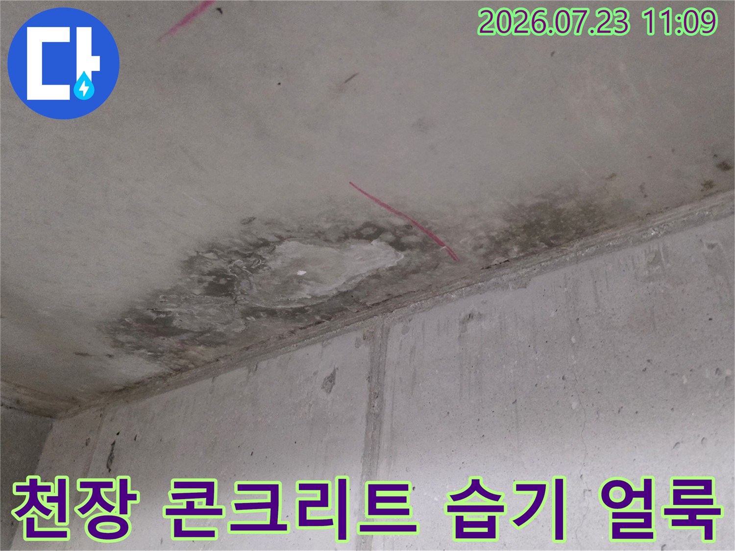 누수로 인해 젖어있는 천장 표면과 분홍색으로 표시된 검사 지점-상세 사진