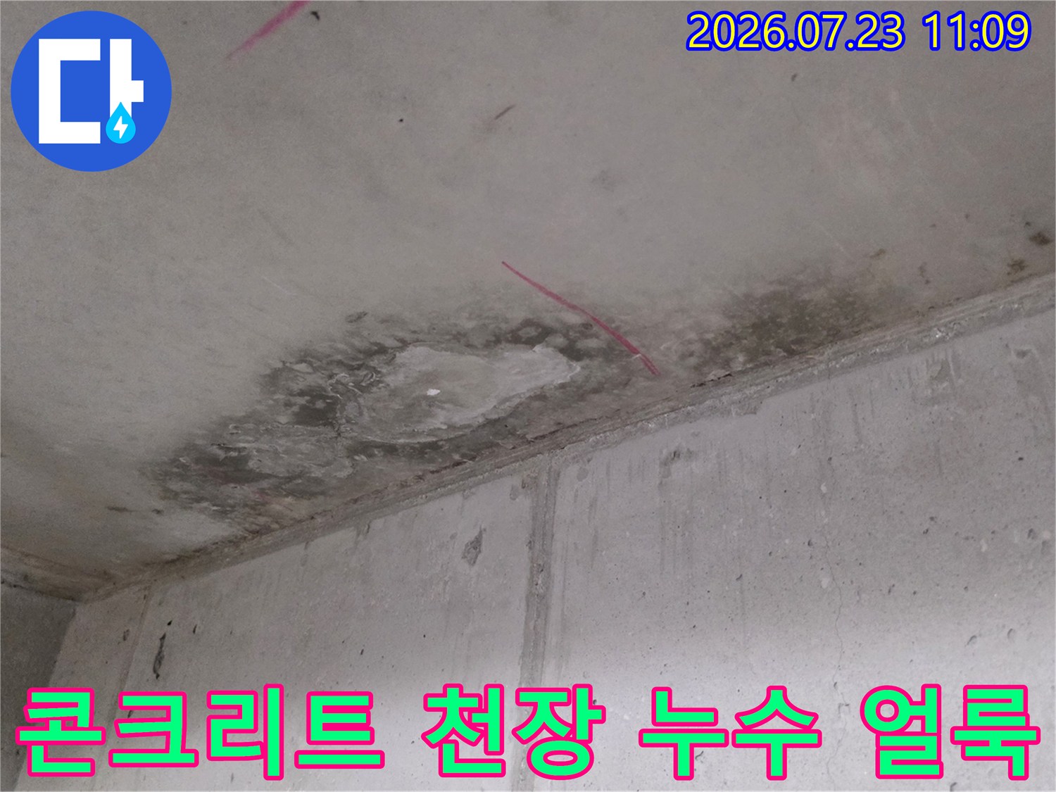아파트-콘크리트-천장에서-발견된-어두운-색상의-누수-얼룩과-습기-흔적