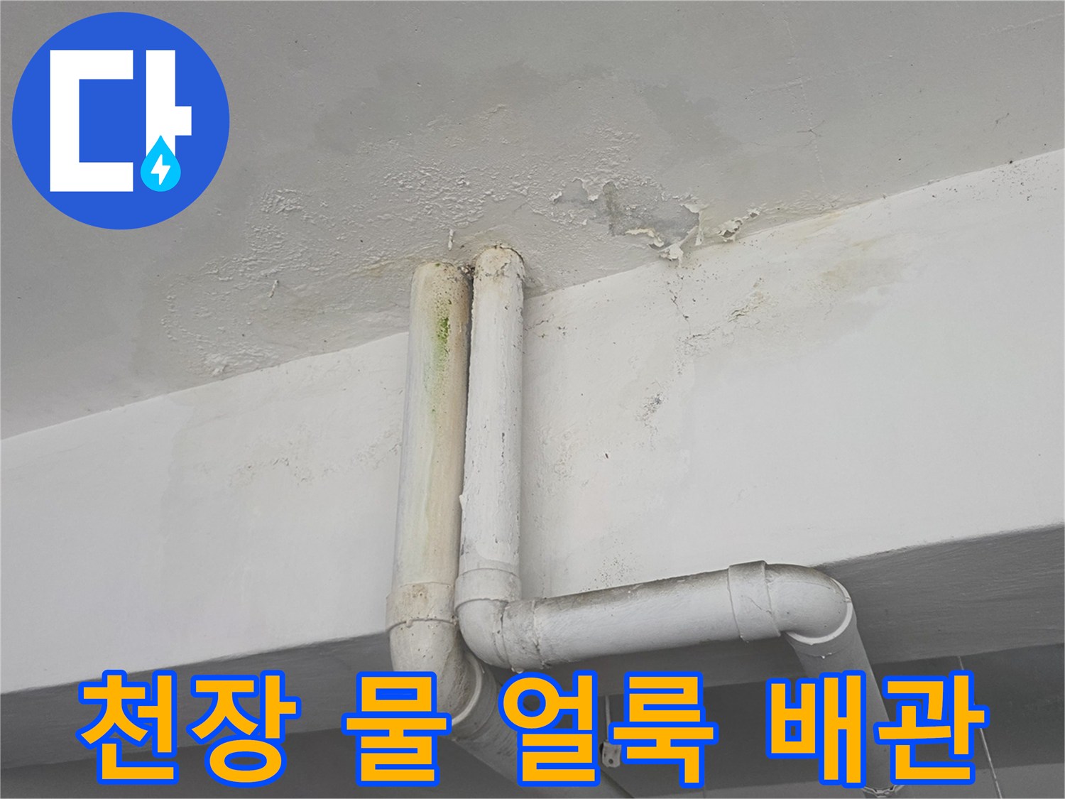 성북구 정릉동-아래층 천장 배관 주변의 물 얼룩 현상