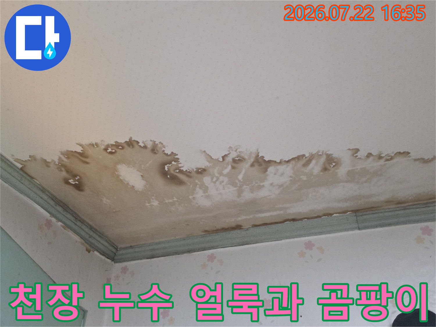 천장 모서리와 벽면 경계에 발생한 갈색 누수 얼룩-심한 곰팡이 흔적