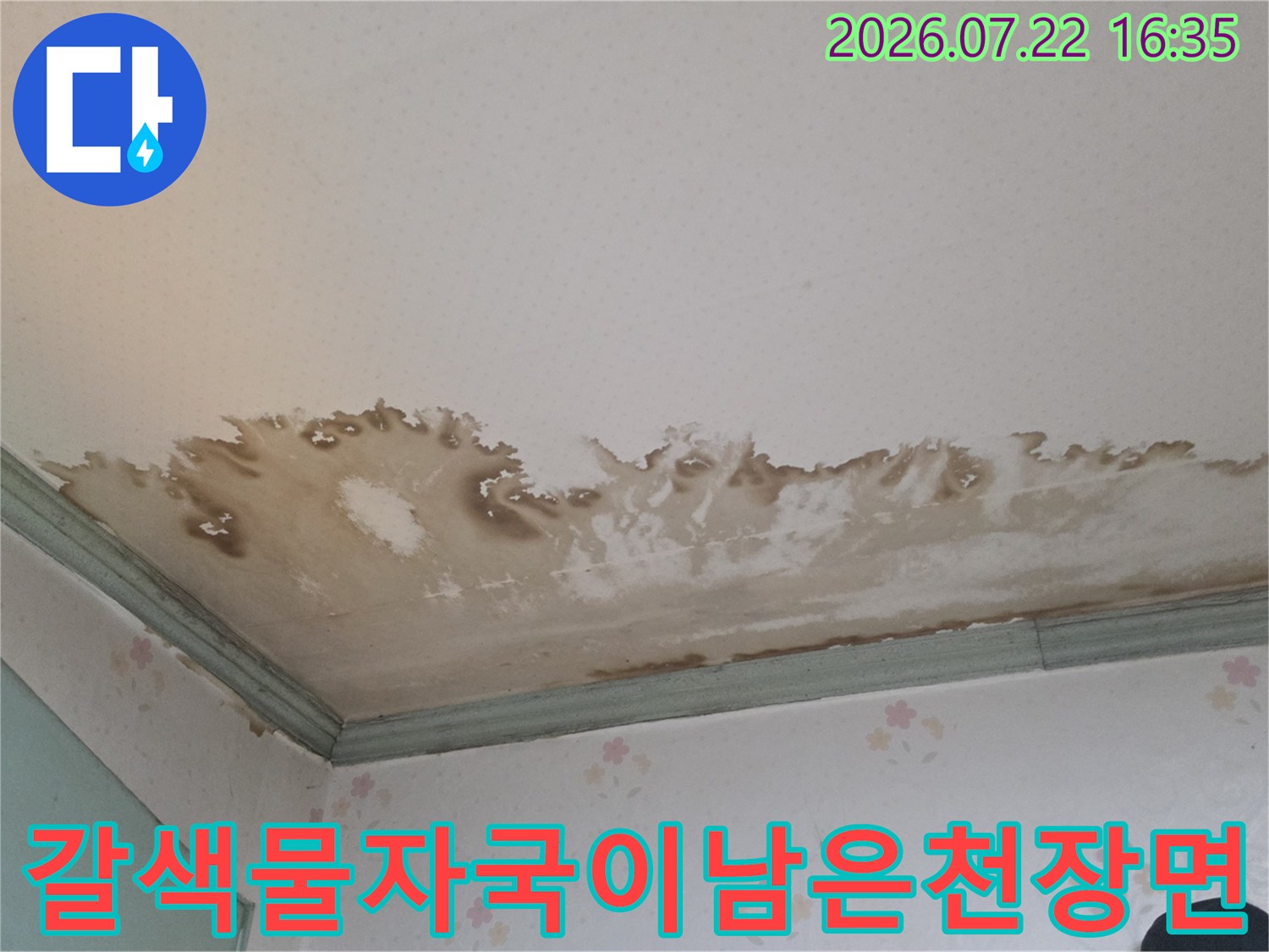 흰색 천장에 물이 스며들어 갈색으로 얼룩지고 곰팡이가 생긴 모습