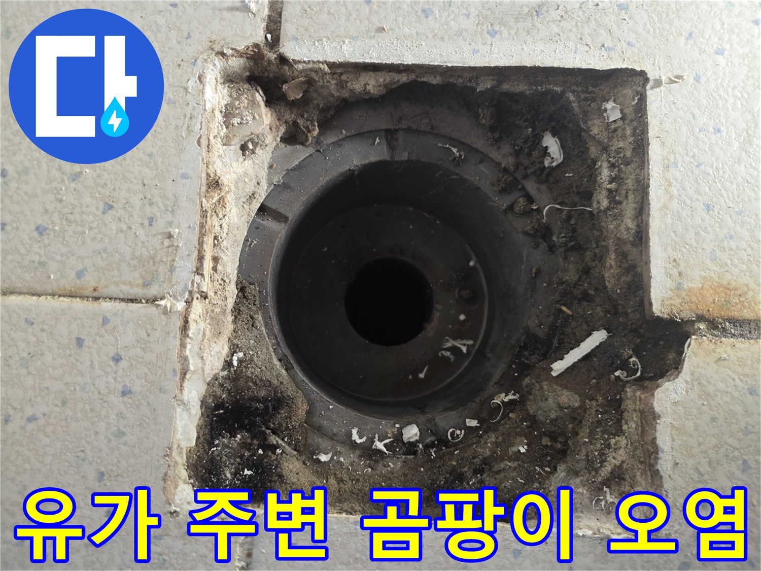 오염된 배수구 내부-배수관 주변의 심한 오염과 습기 상태