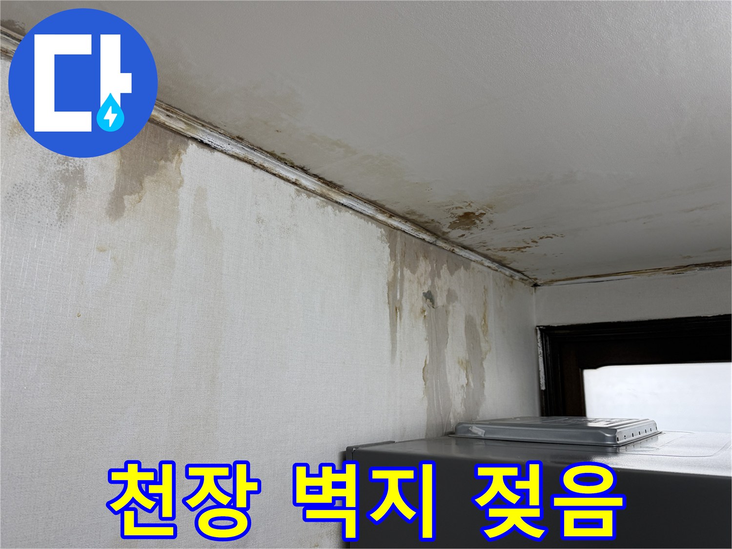 물에 젖어 변색된 천장과 벽면 경계선