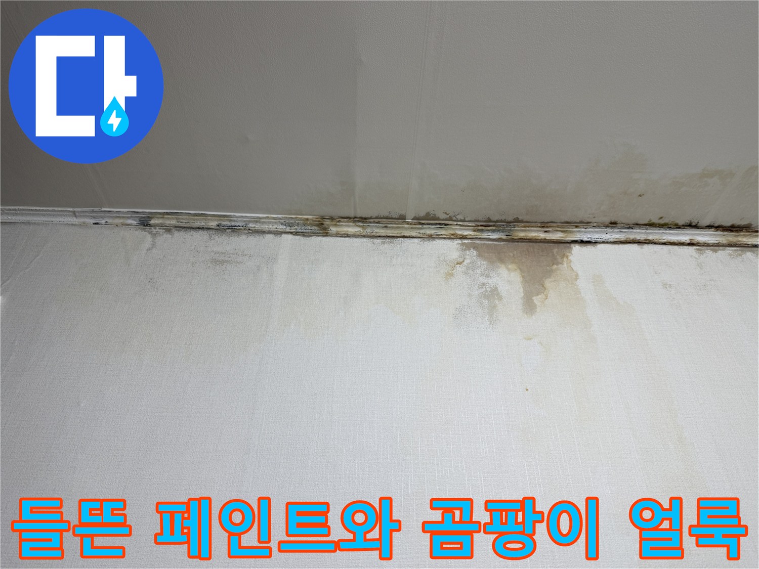 천장 페인트-벗겨짐과 곰팡이 발생 부위