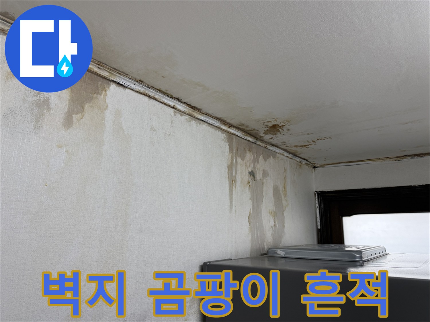 천장과 벽면 경계부-광범위하게 퍼진 곰팡이와 습기 흔적