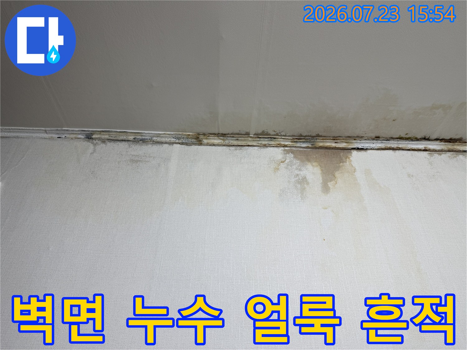 천장과 벽이 만나는 경계면에 발생한 물 자국과 곰팡이 오염