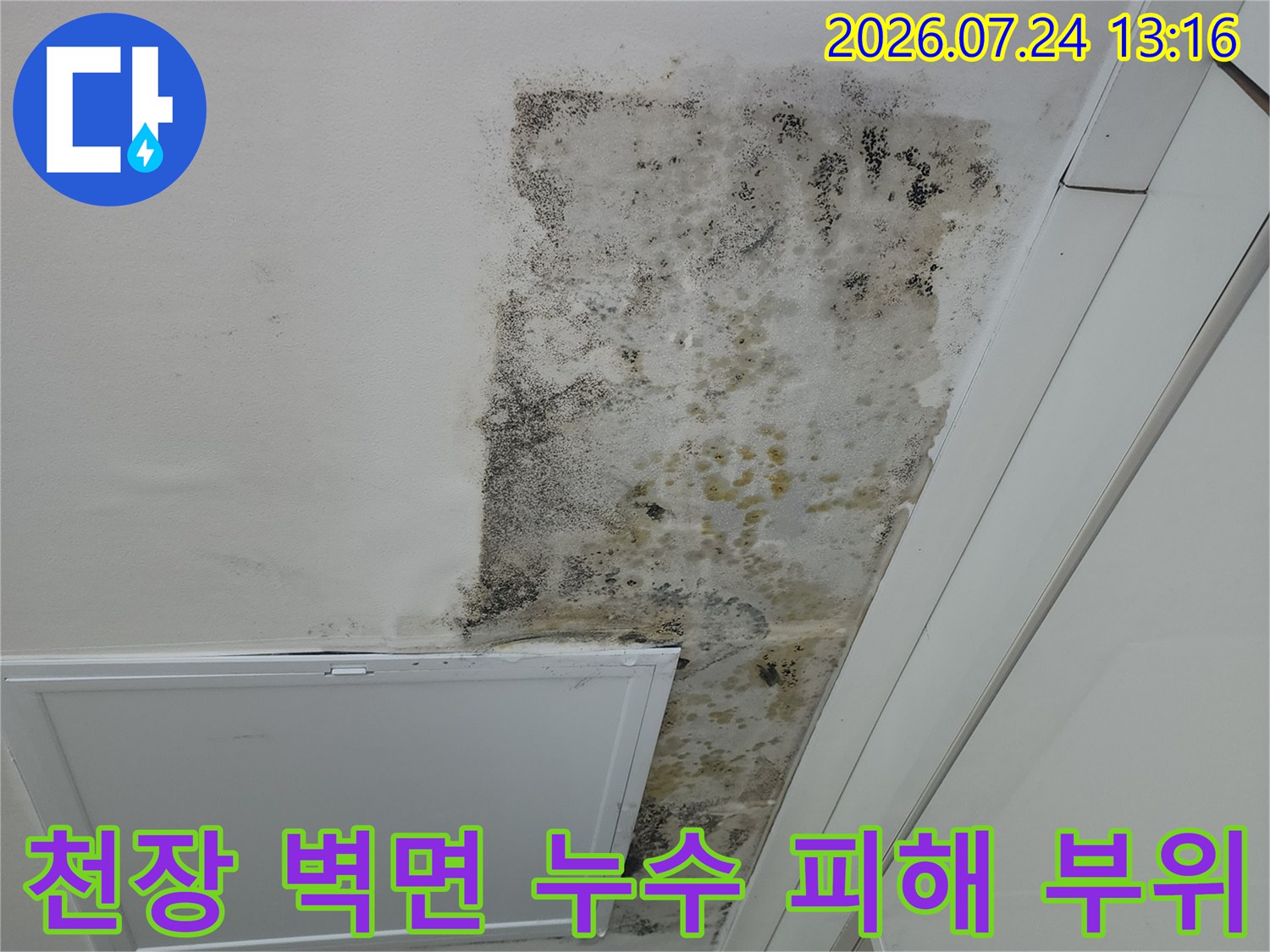 끈질긴 곰팡이와 물자국으로 오염된 천장 벽면의 모습