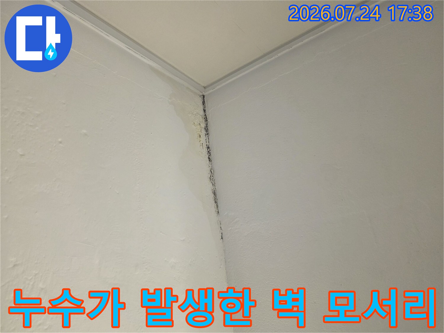 벽면을 타고 흐른 물자국과 곰팡이가 결합된 모습