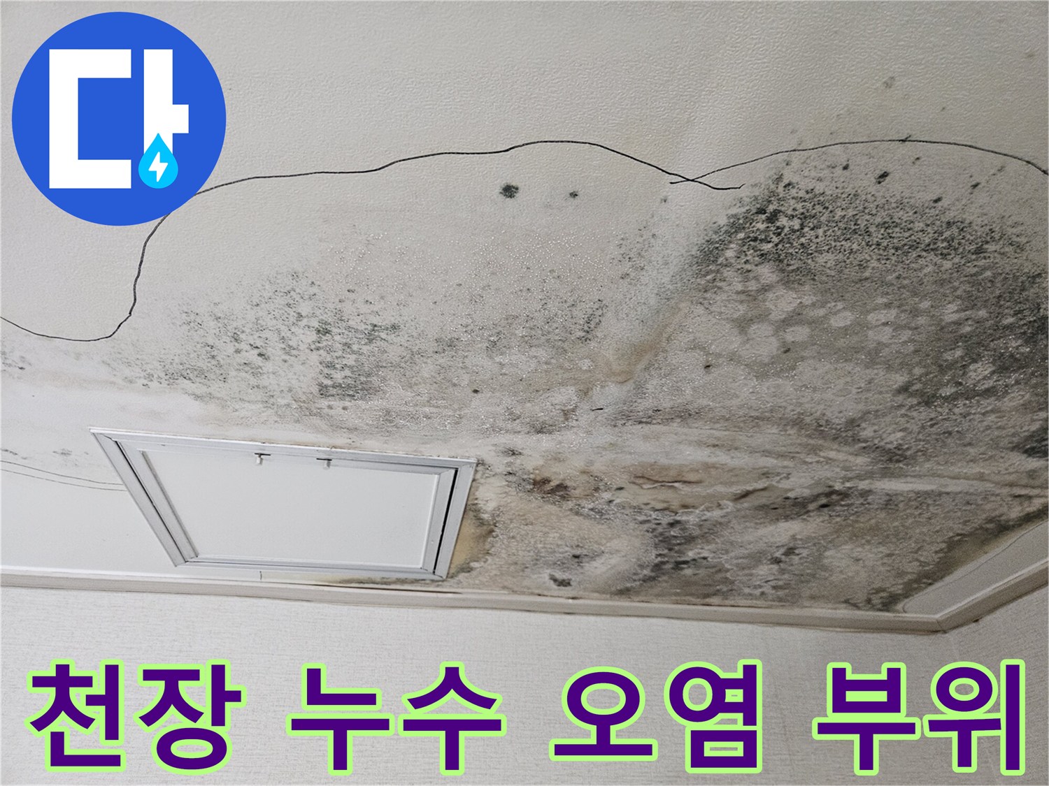 물샘으로 인해 변색되고 곰팡이가 피어오른 천장 마감재