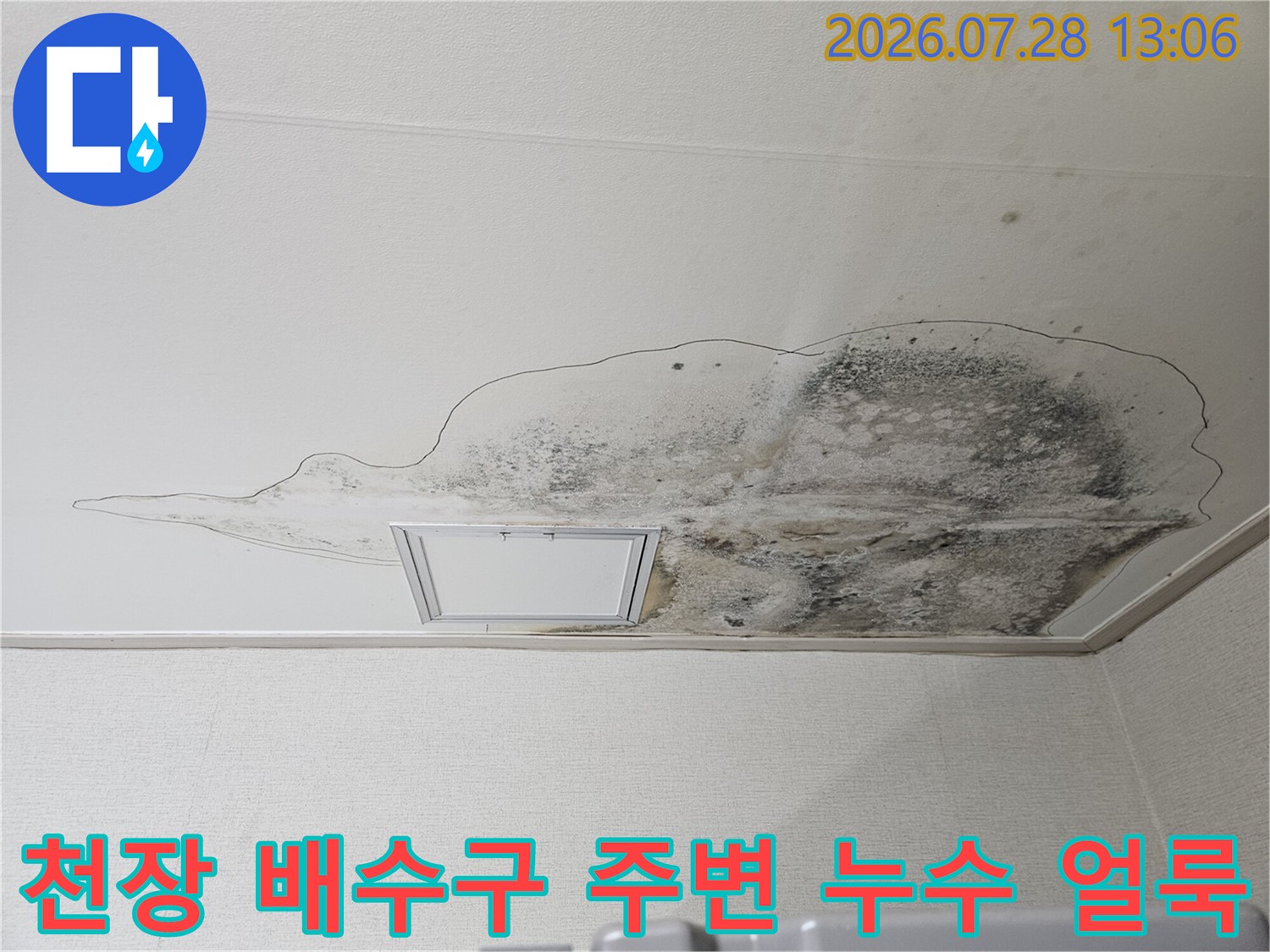 배수관 연결 부위의 결함으로 인해 발생한 천장 누수 피해 및 곰팡이 증상