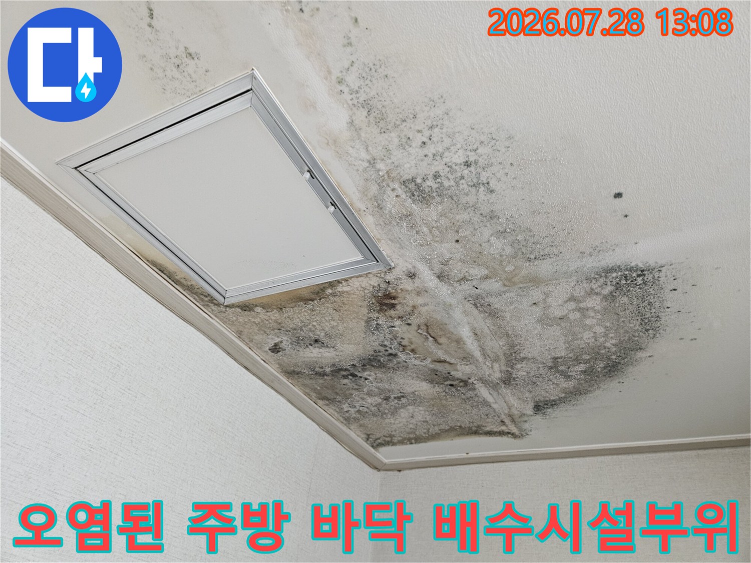 배수구 주변 타일과 프레임에 곰팡이가 번진 모습으로 인한 누수 확인