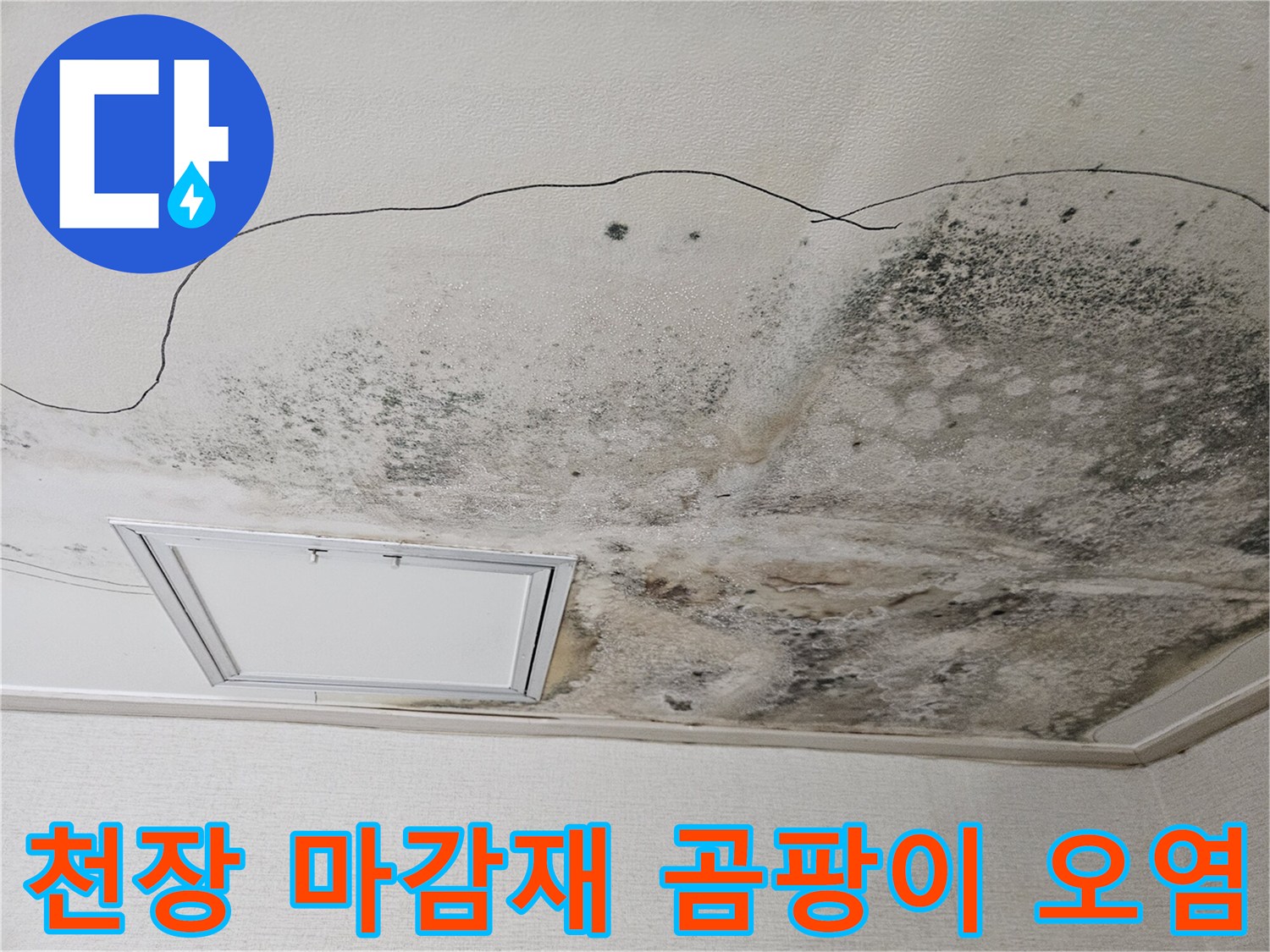심하게 오염된 천장 석고보드와 점검구 주변의 곰팡이 상태