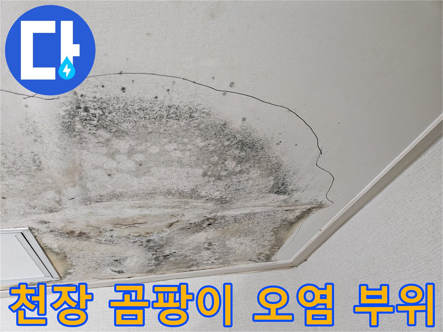 아랫집 천장-누수로 인해 검게 변한 곰팡이 오염 부위