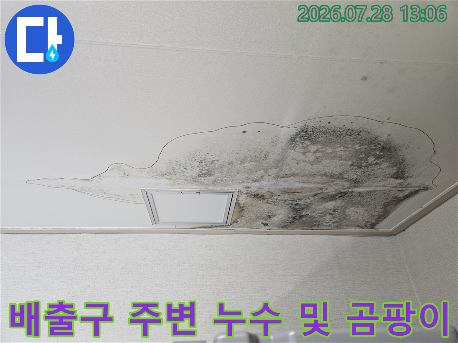 주방 배수공간 상단 결함으로 인해 아래로 번진 누수 얼룩과 곰팡이 현장