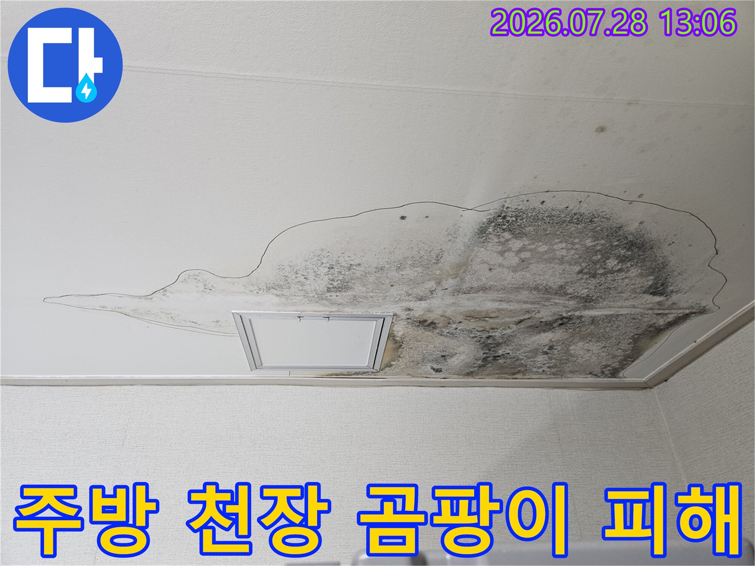 주방 조명 주변으로 번진 검은색 곰팡이와 누수 얼룩