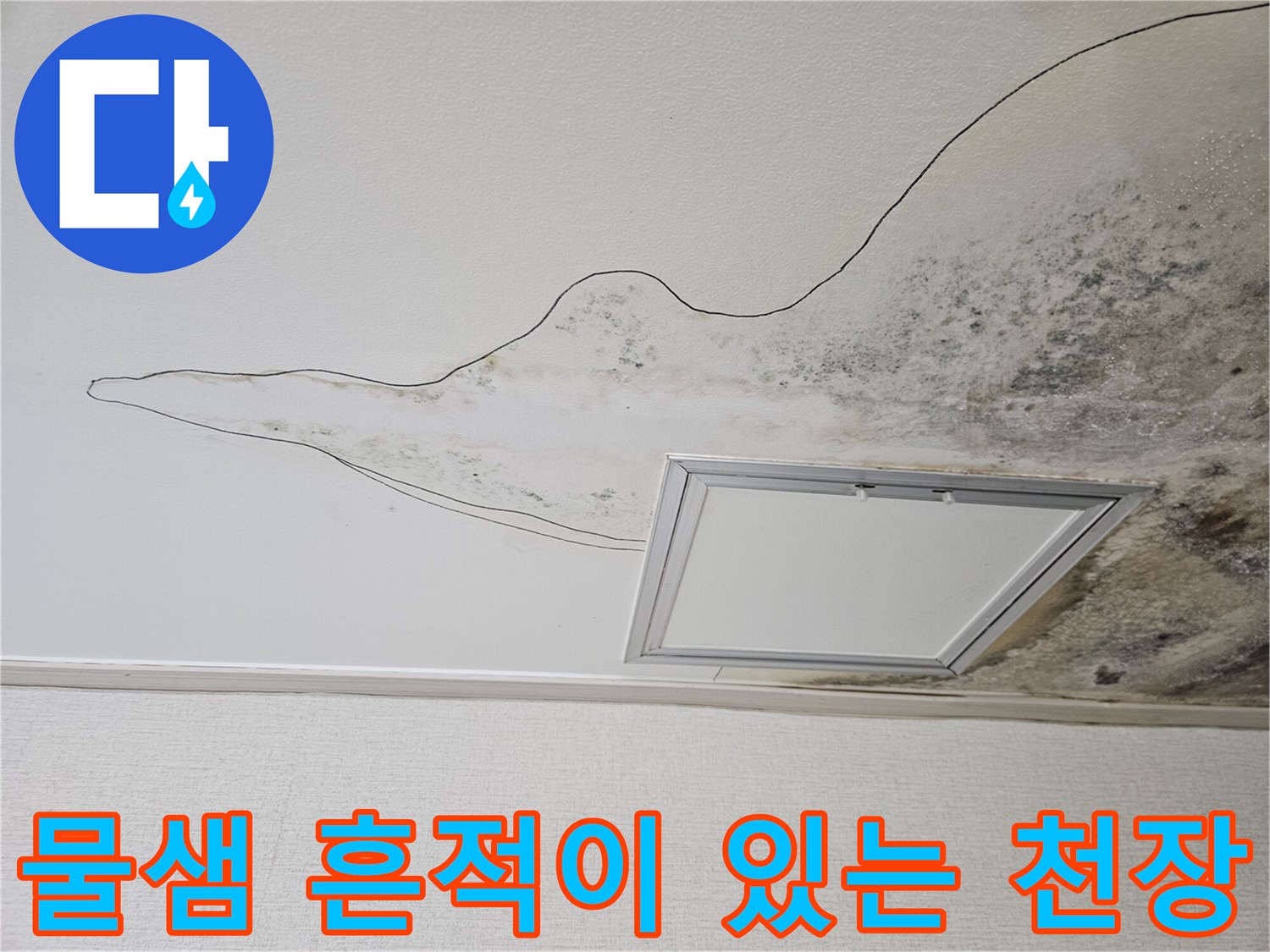 주방 천장 마감재에 나타난 누수 유출 흔적과 곰팡이