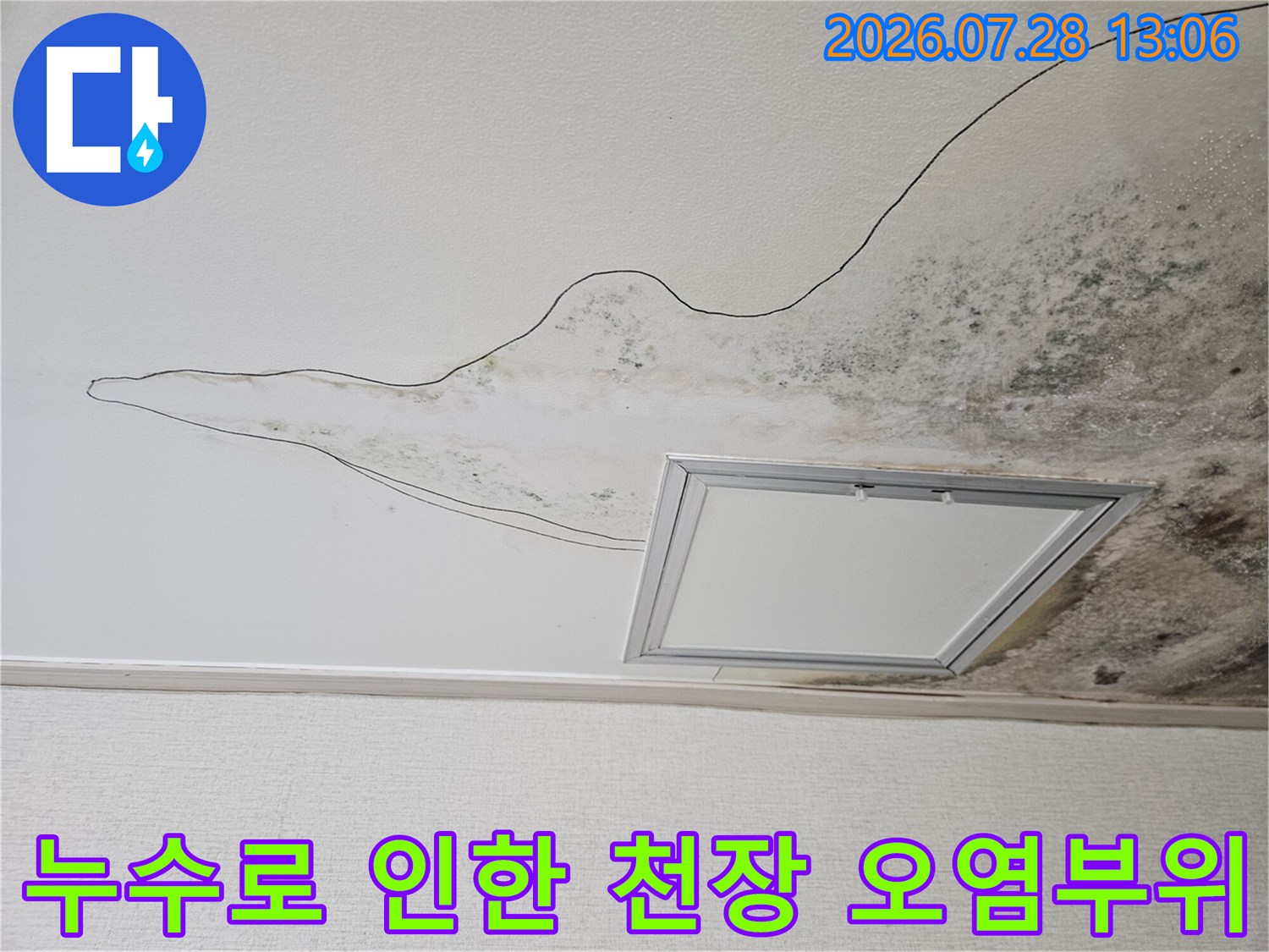 주방 천장에서 곰팡이와 누수가 발생한 부위의 상태