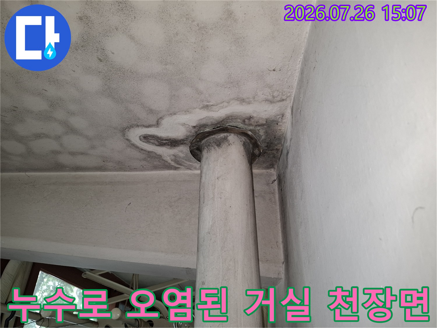 거실 천장의 둥근 기둥 주변으로 넓게 퍼진 누수 얼룩과 곰팡이-사진