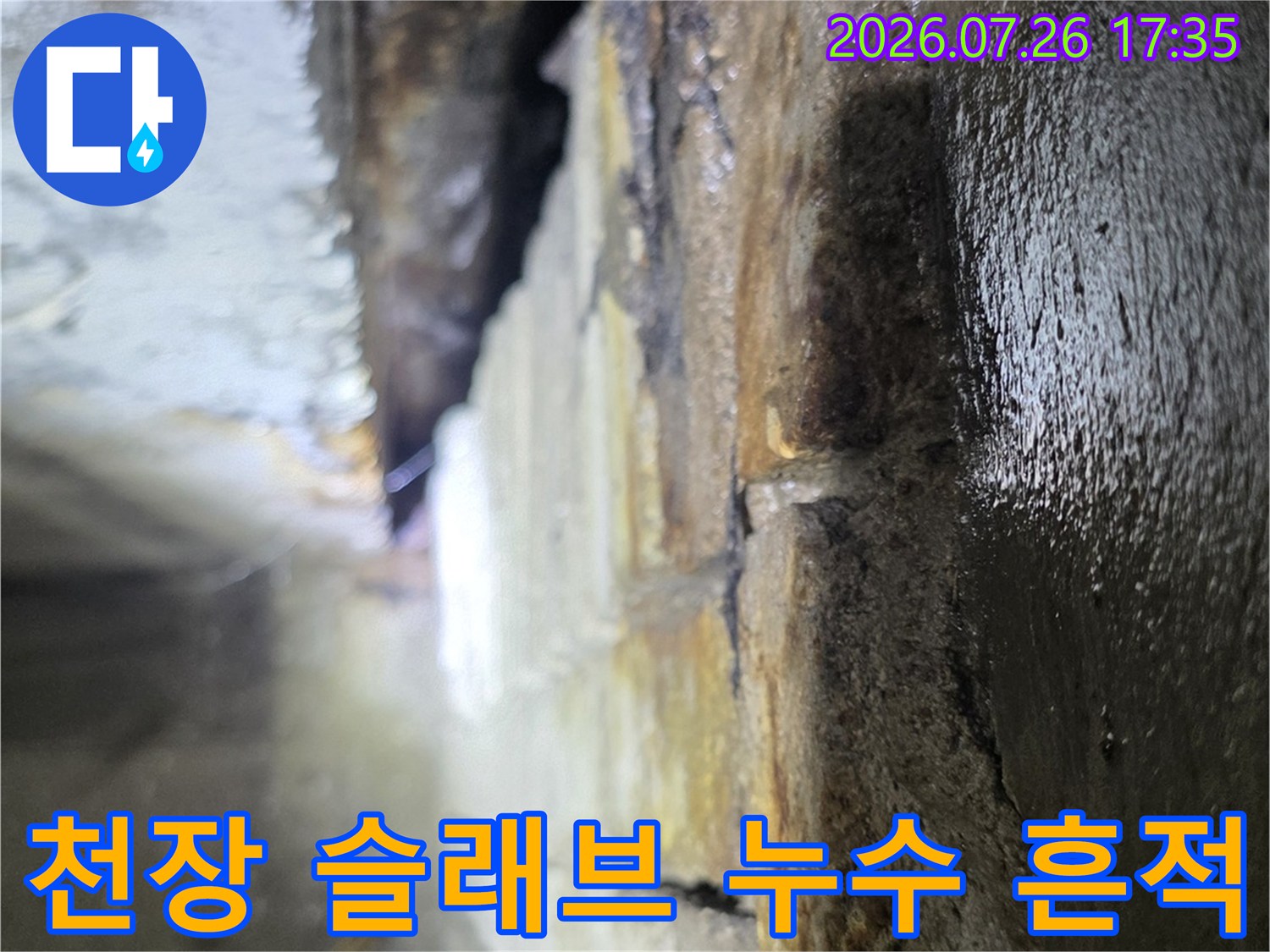 상가 건물 천장의 콘크리트 슬래브 표면이 젖어 있고 오염된 모습-누수 지점 확인 사진
