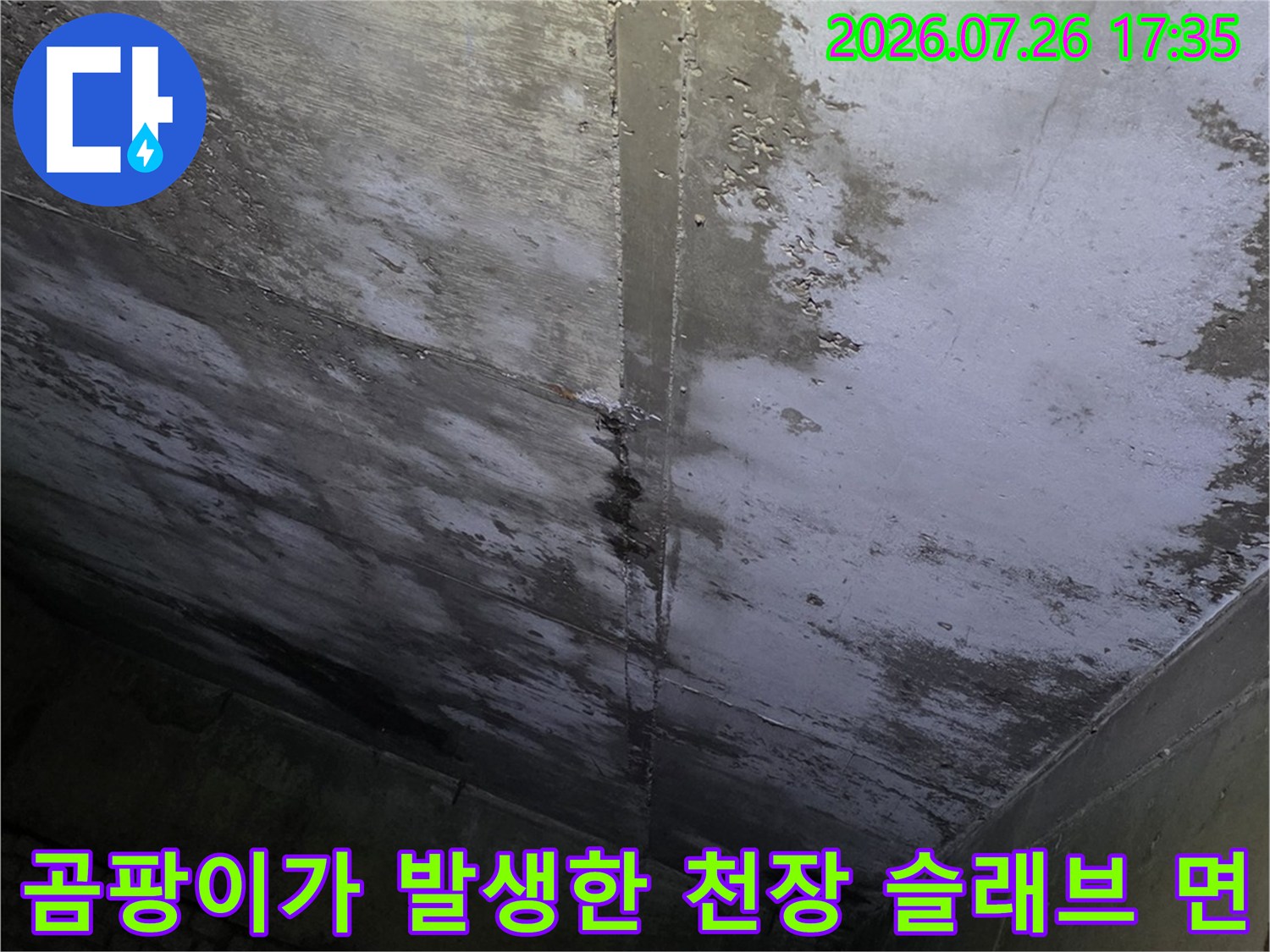 천장 내부 콘크리트에 습기가 차서 곰팡이와 물때가 형성된 모습-누수 피해 사진