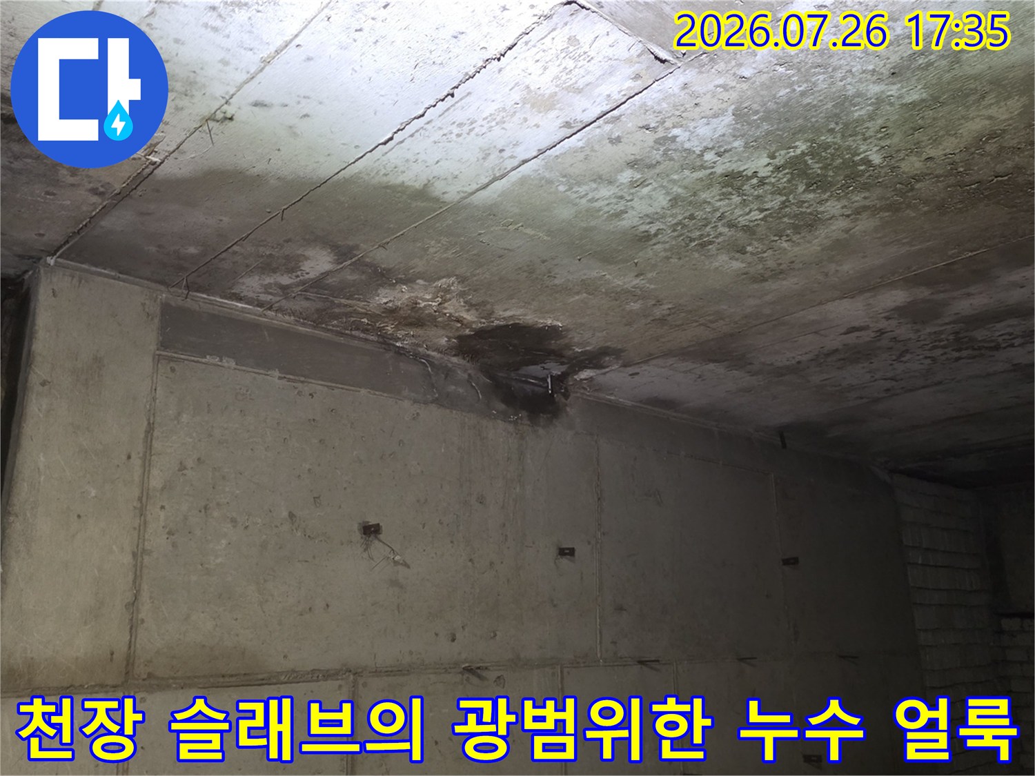 콘크리트-구조물-천장에-발생한-검은색-누수-얼룩과-습윤-현상