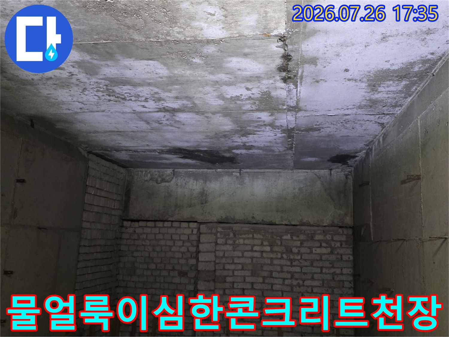콘크리트 슬래브 천장에 물 얼룩과 습기가 가득한 누수 피해 현장 모습